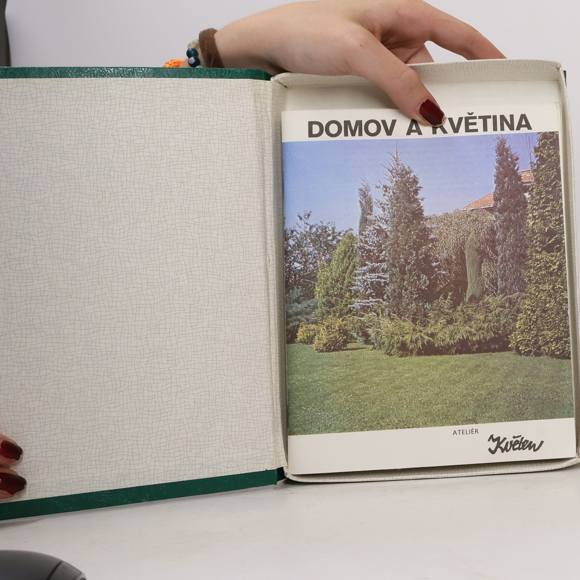 Auteurscollectief Domov a květina