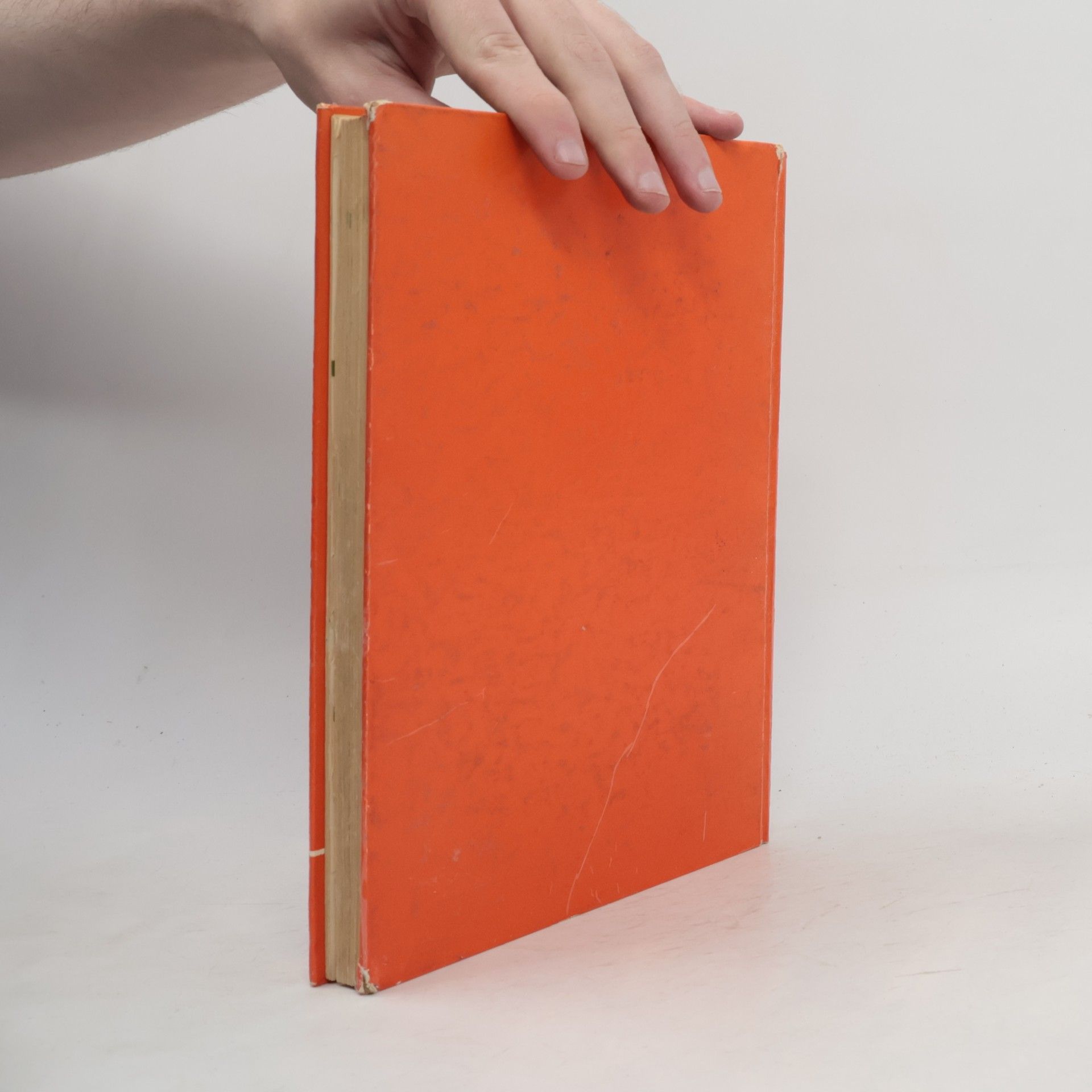 AA.VV. English Language Manual 1