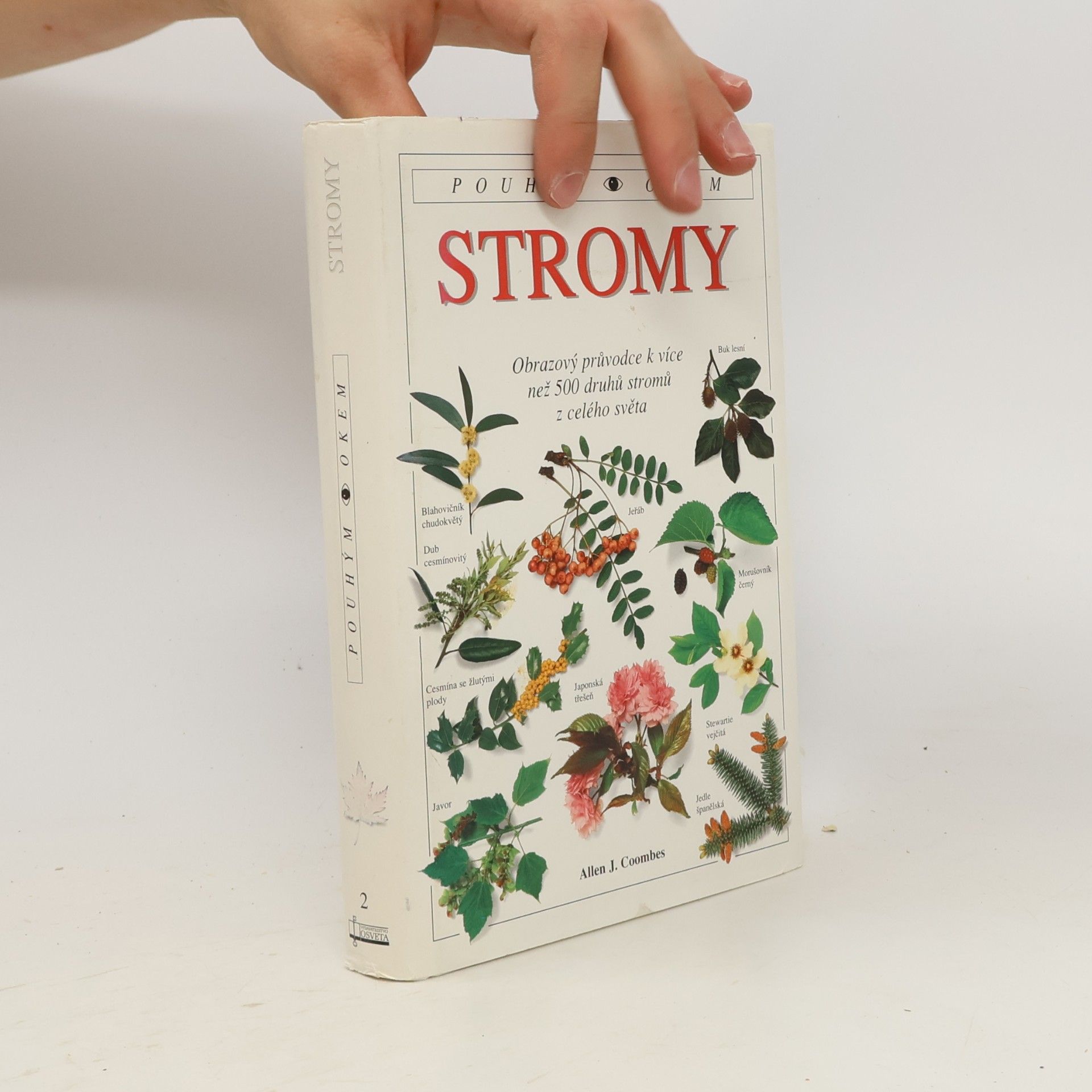 Allen J. Coombes Stromy