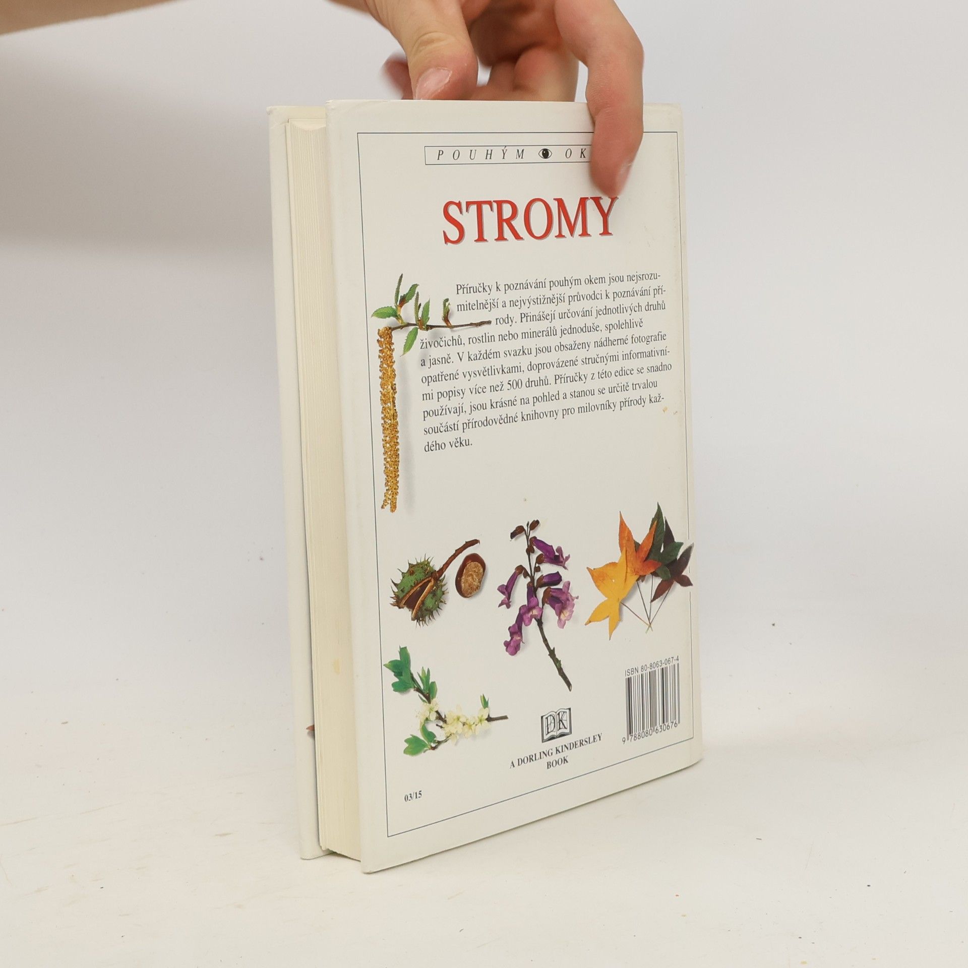 Allen J. Coombes Stromy