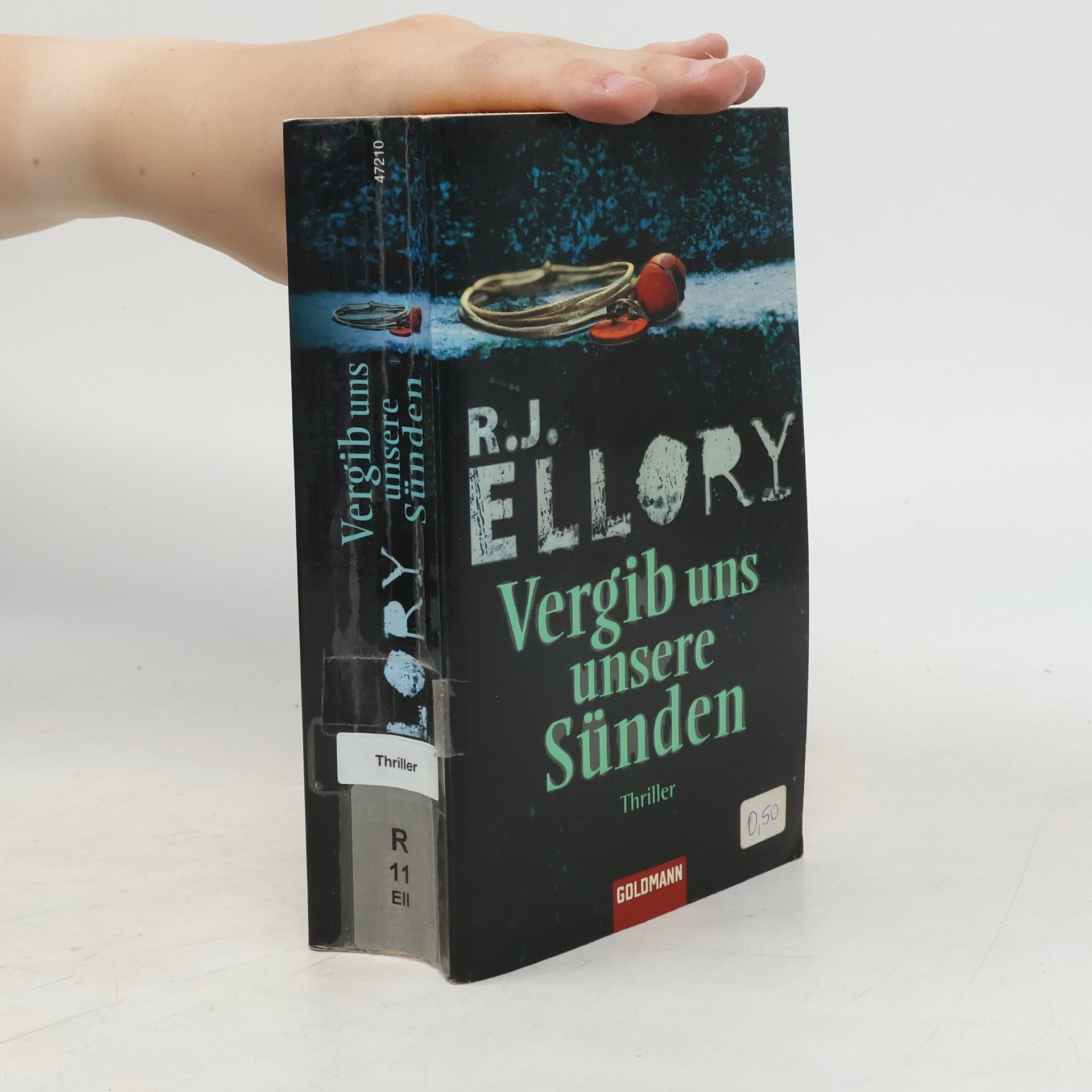 Roger Jon Ellory Vergib uns unsere Sünden
