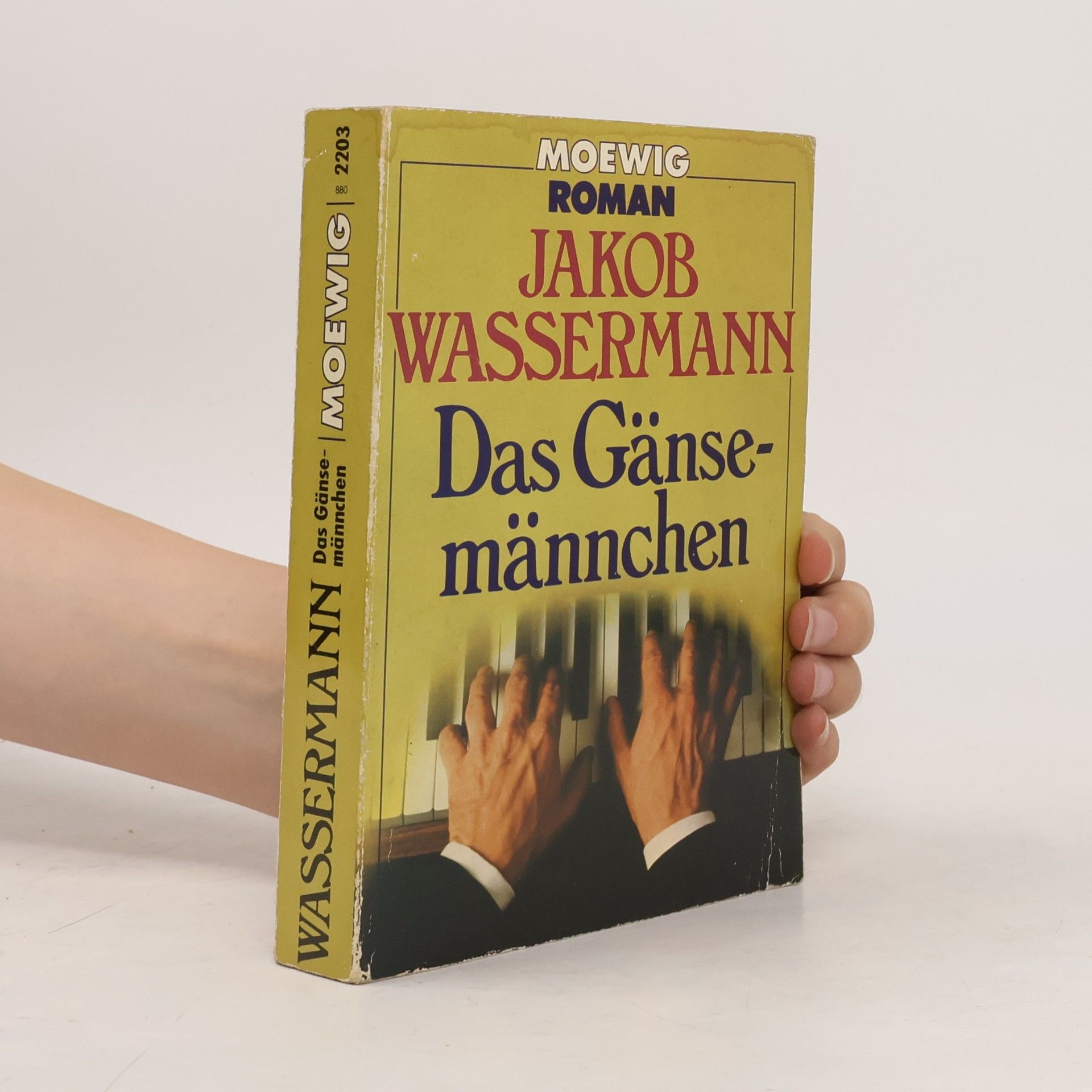 Jakob Wassermann Das Gänsemännchen