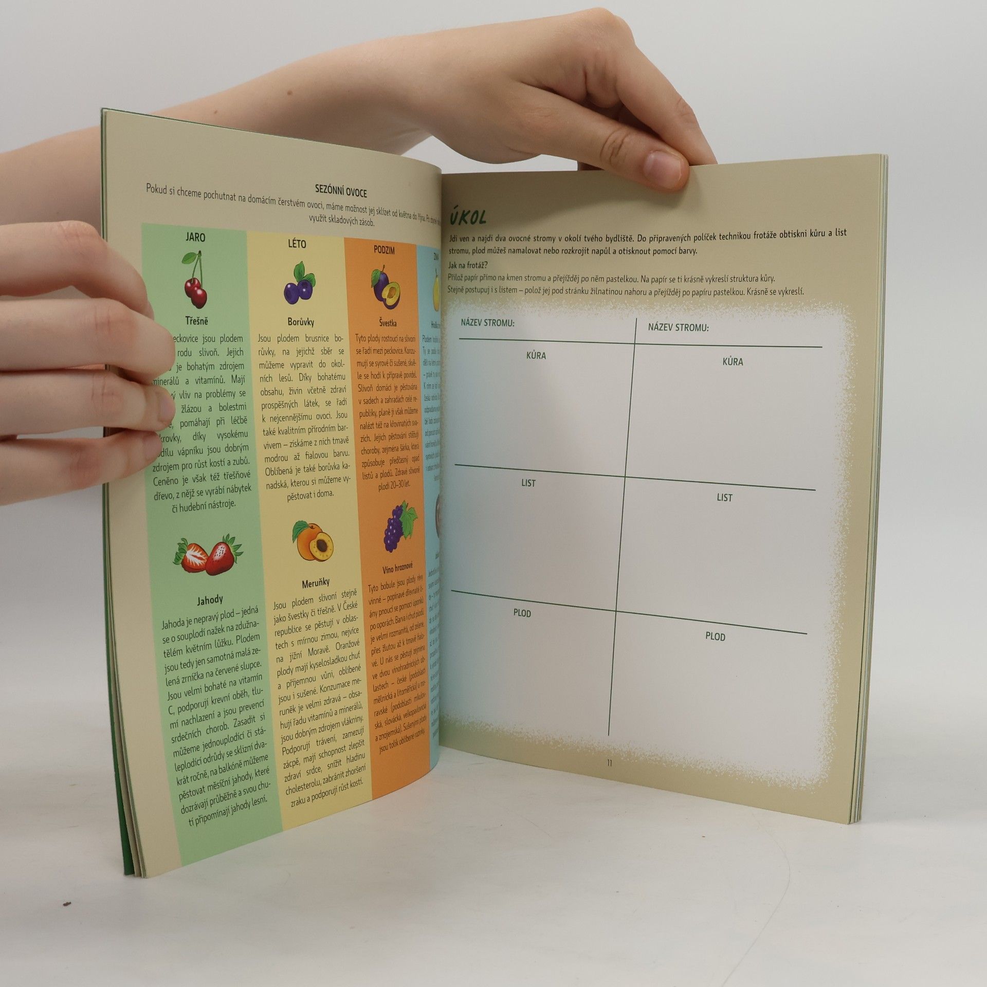 Various authors Rok s Vandou a Šampionem