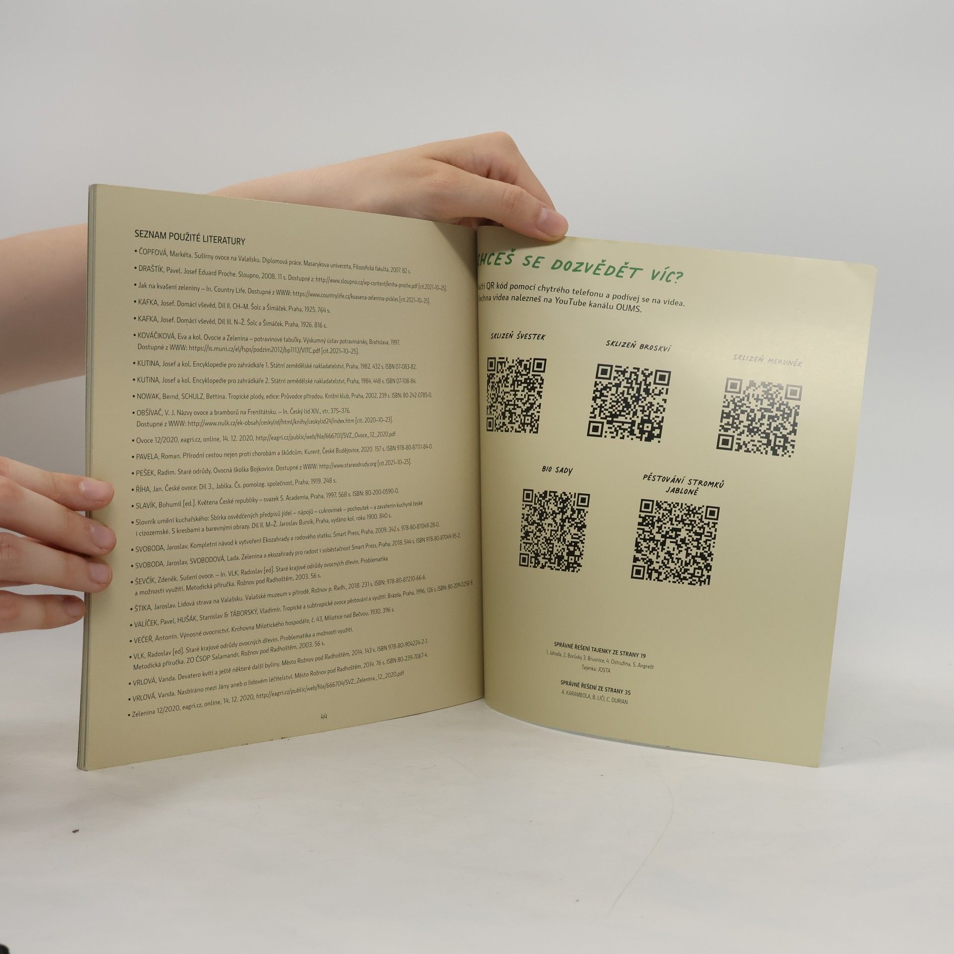 Various authors Rok s Vandou a Šampionem