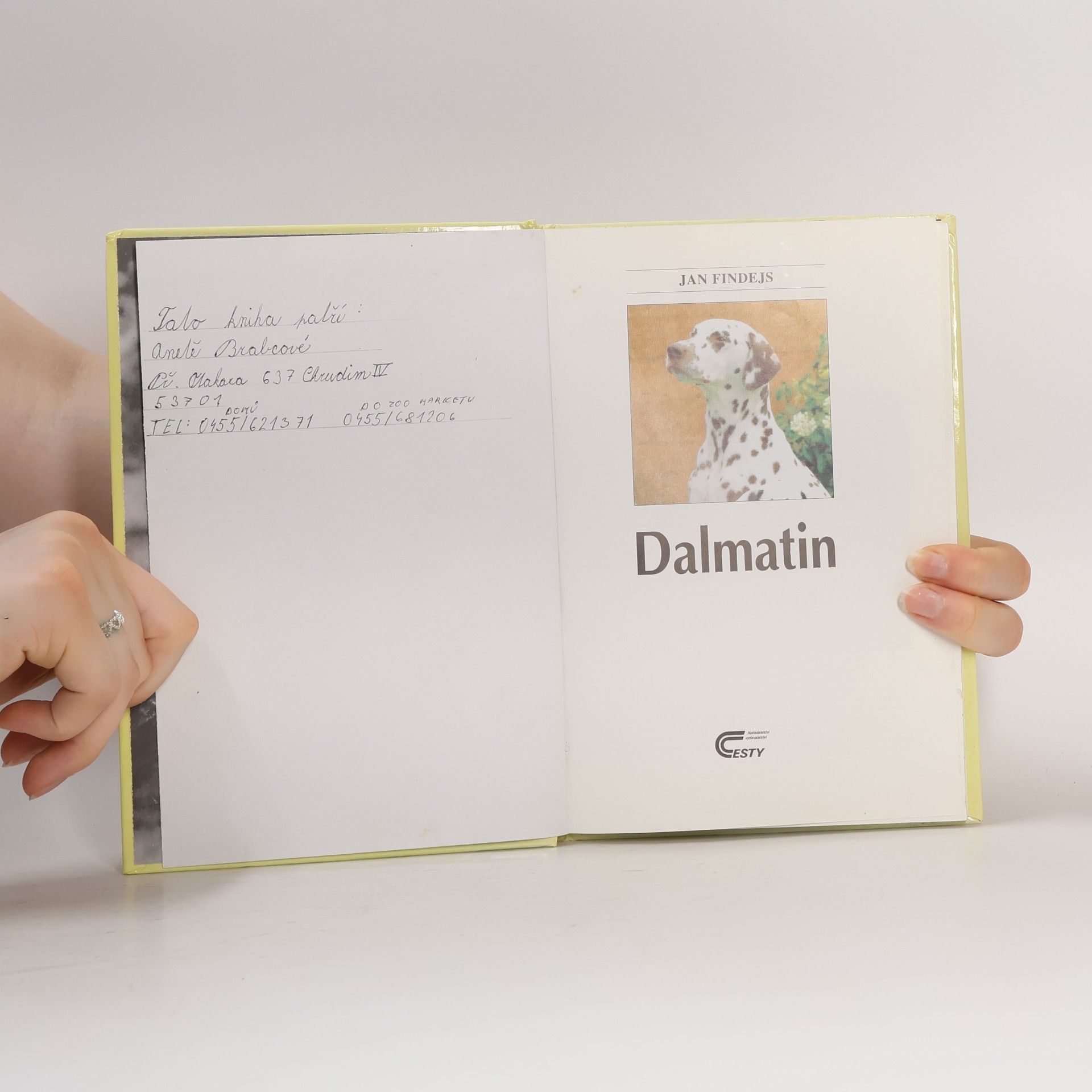 Jan Findejs Dalmatin