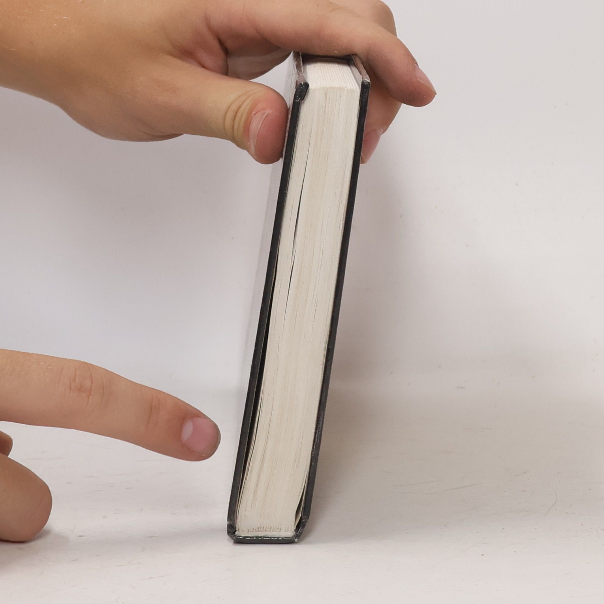 Sidney Sheldon Pokud přijde zítřek