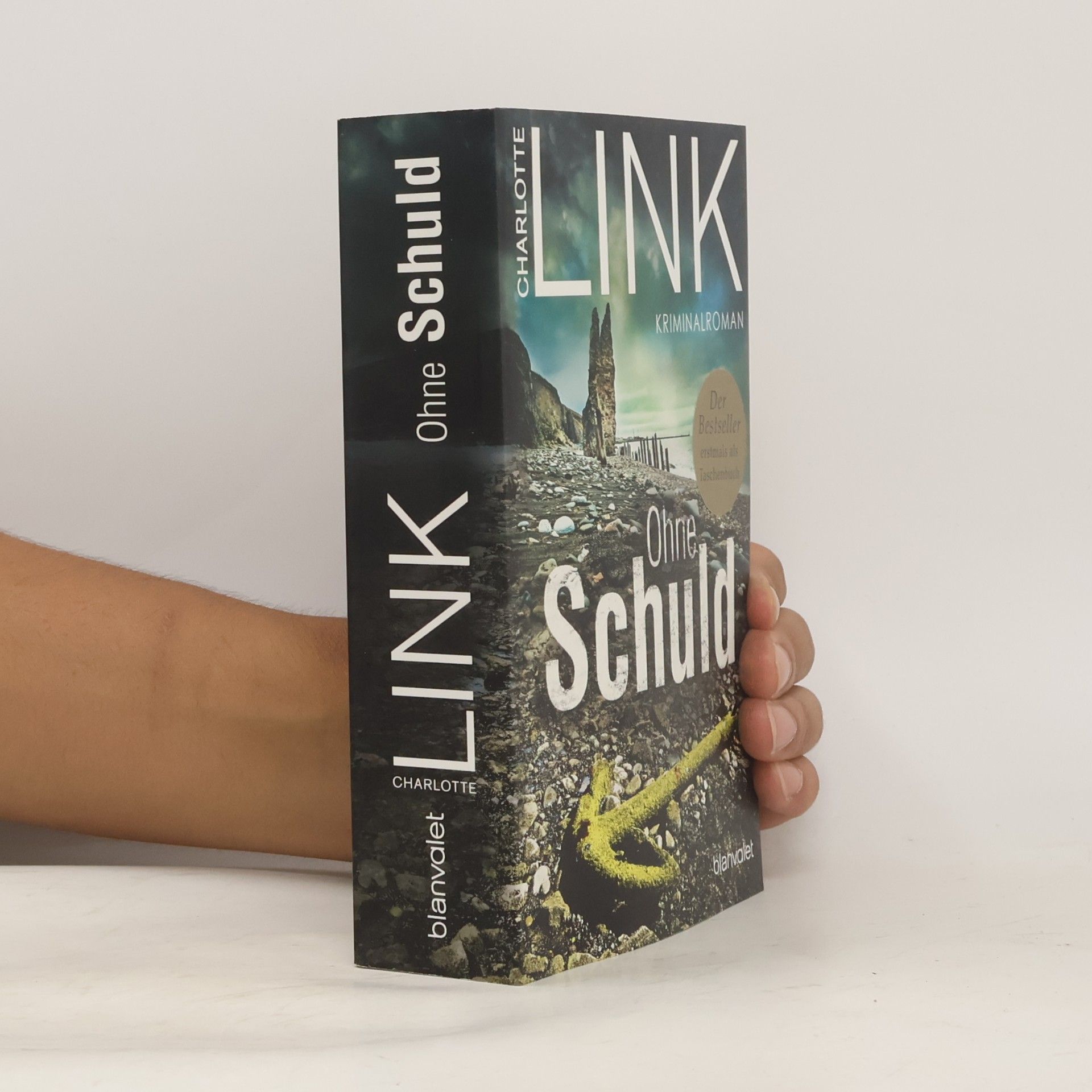 Charlotte Link Ohne Schuld
