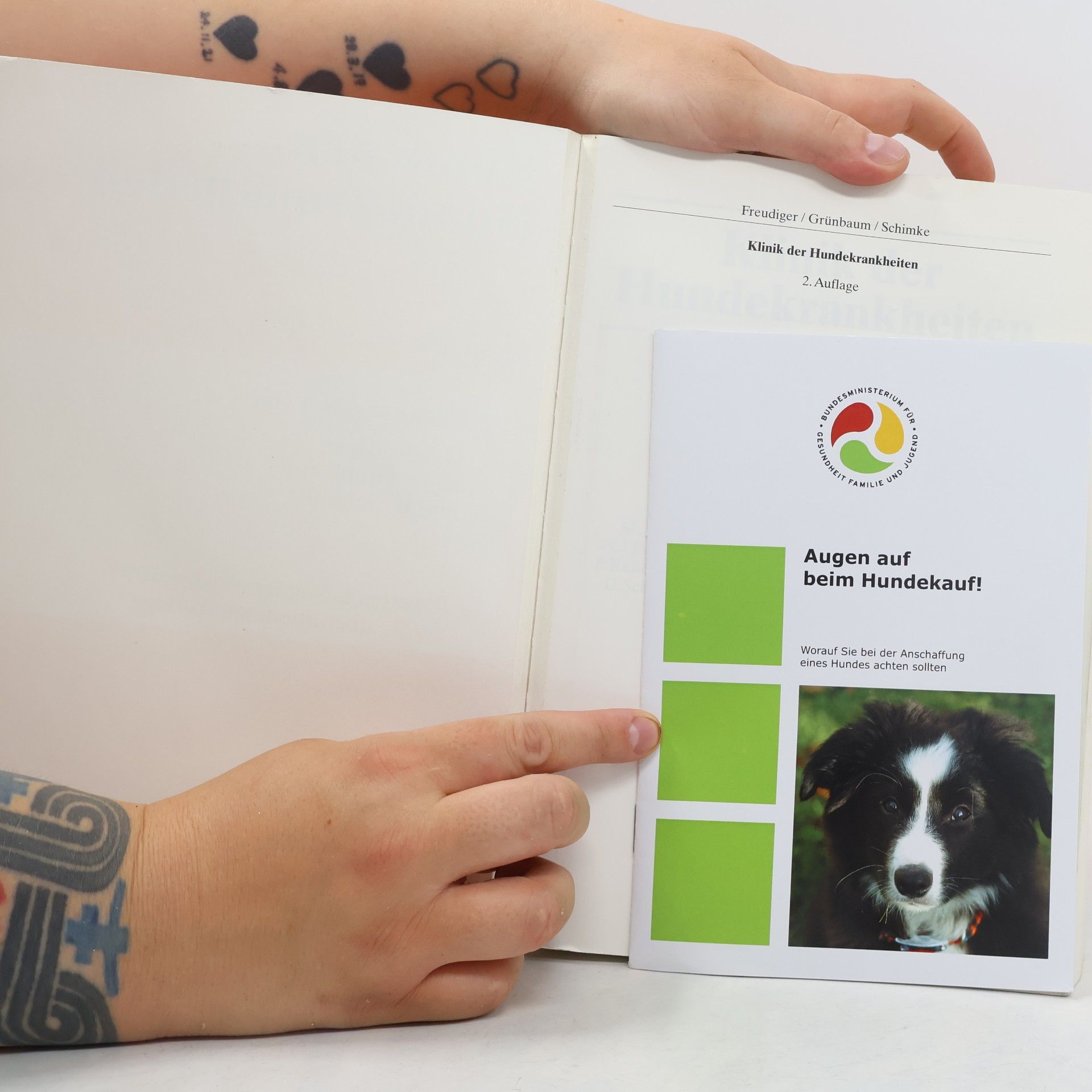 Ulrich Freudiger Klinik der Hundekrankheiten