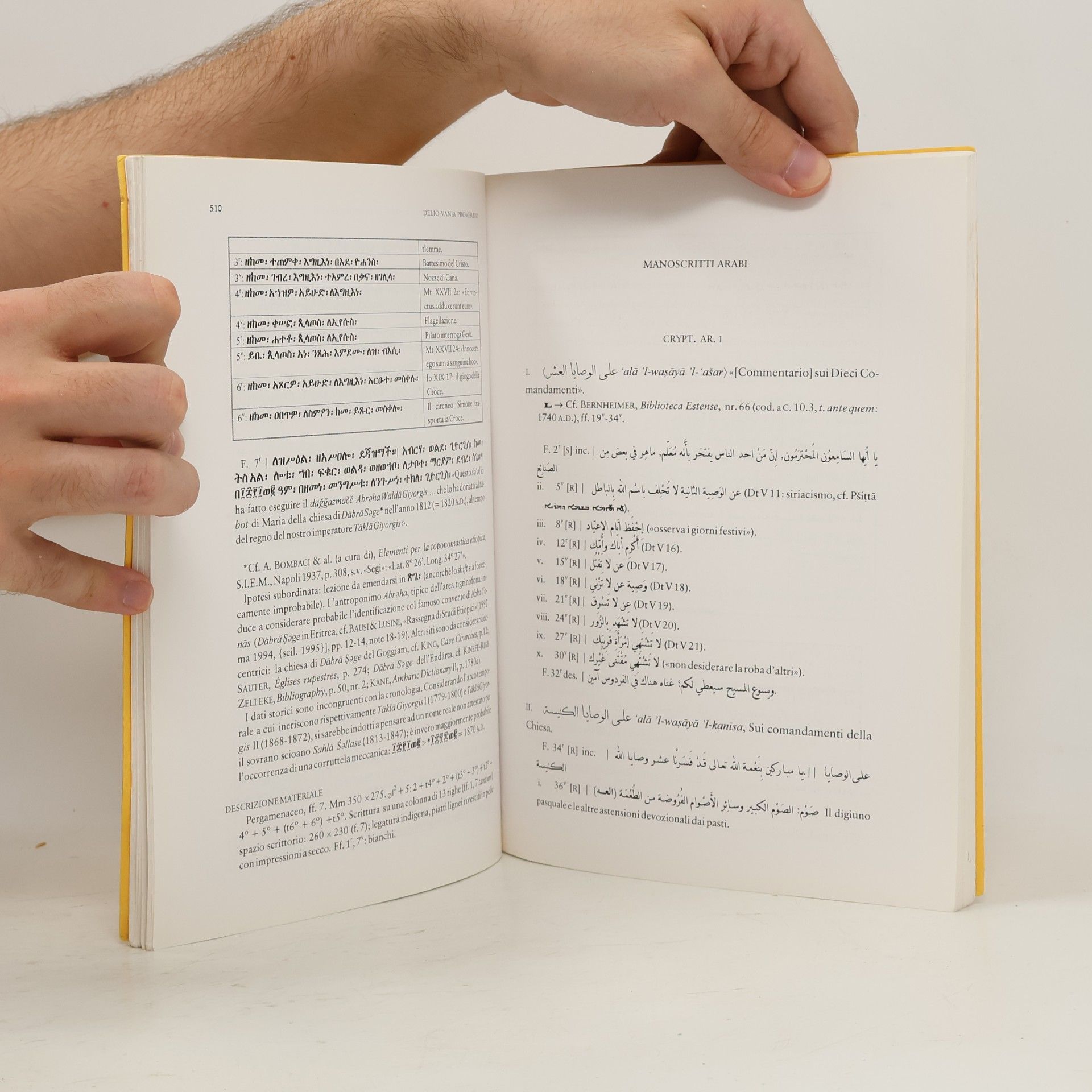 Delio Vania Proverbio Inventario sommario dei manoscritti arabi, ebraici, etiopici, con notizia dei turchi, conservati presso la biblioteca della Badia di Grottaferrata