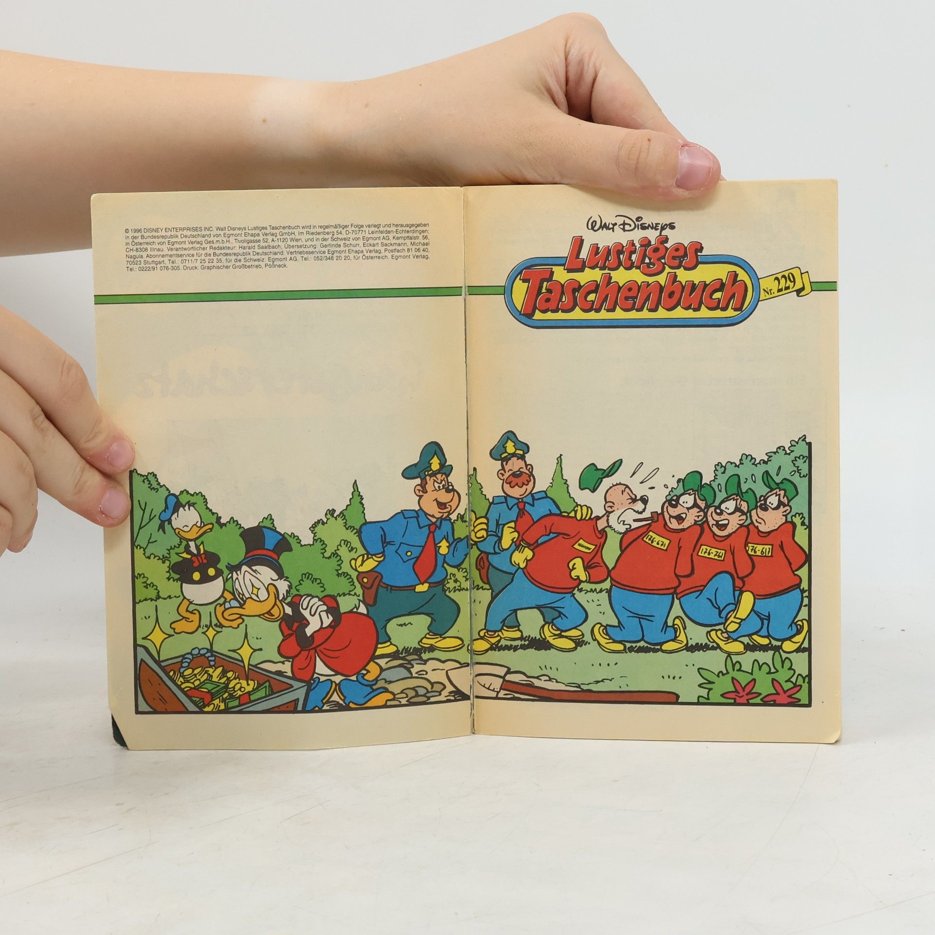 Autorenkollektiv Lustiges Taschenbuch 229