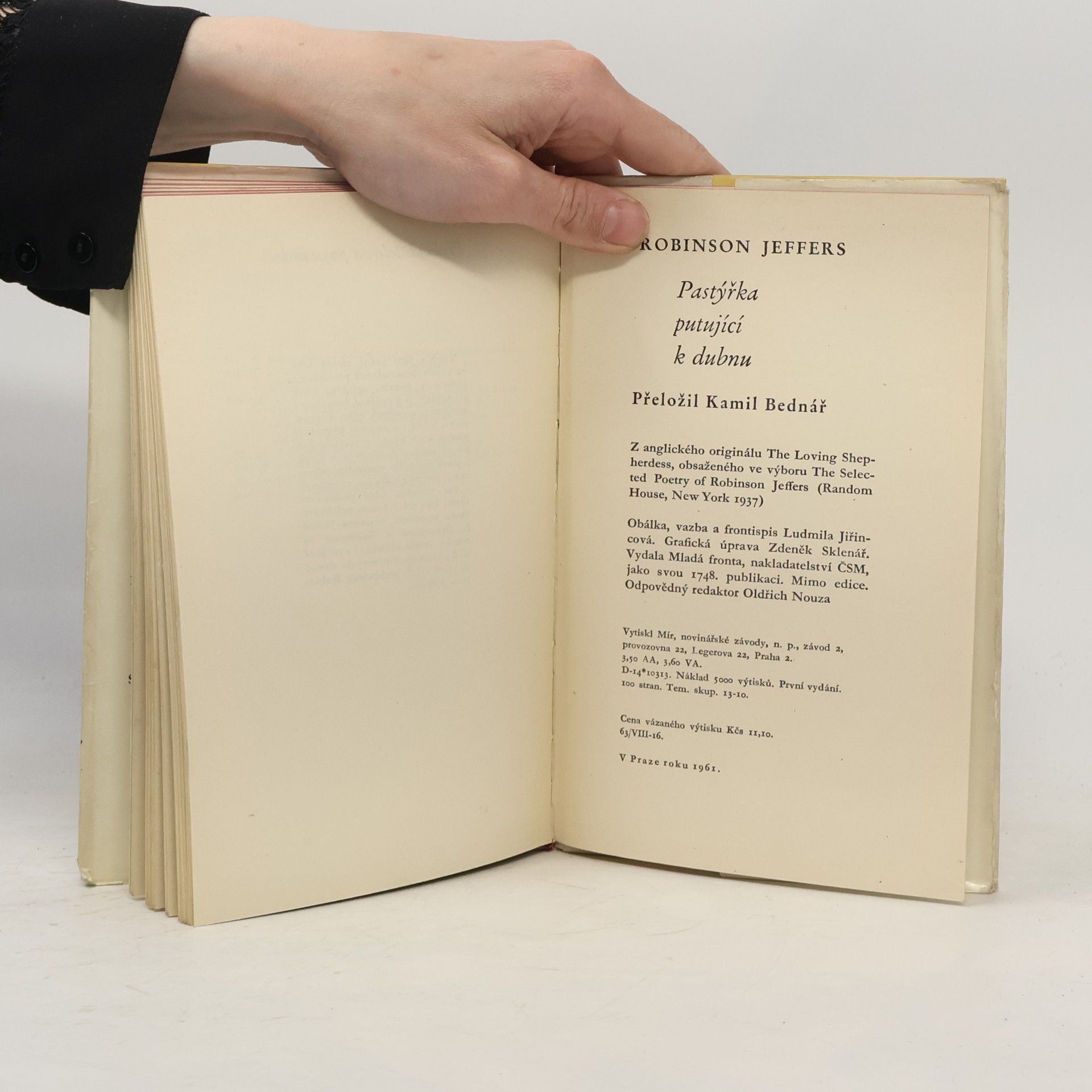 Robinson Jeffers Pastýřka putující k dubnu