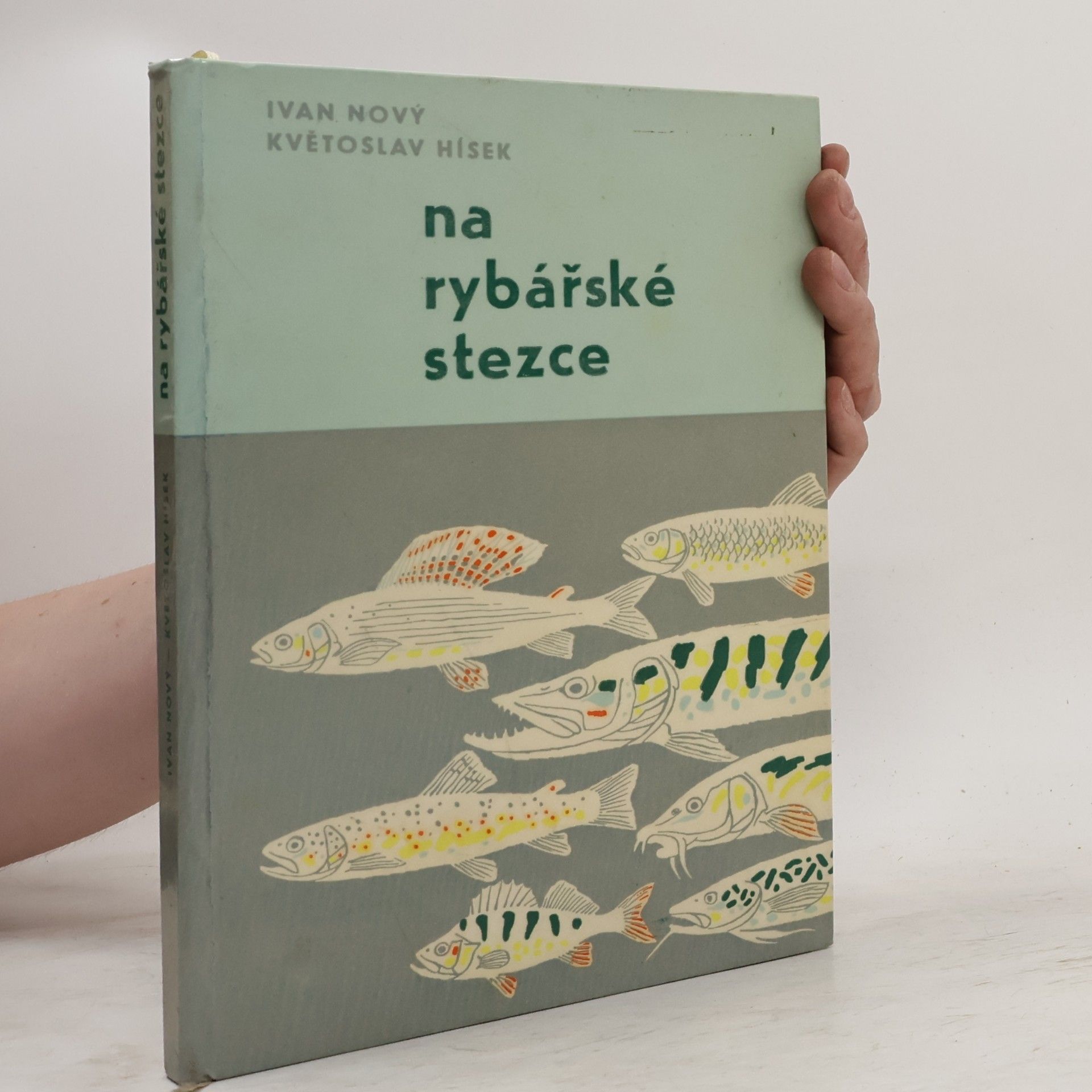 Květoslav Hísek Na rybářské stezce