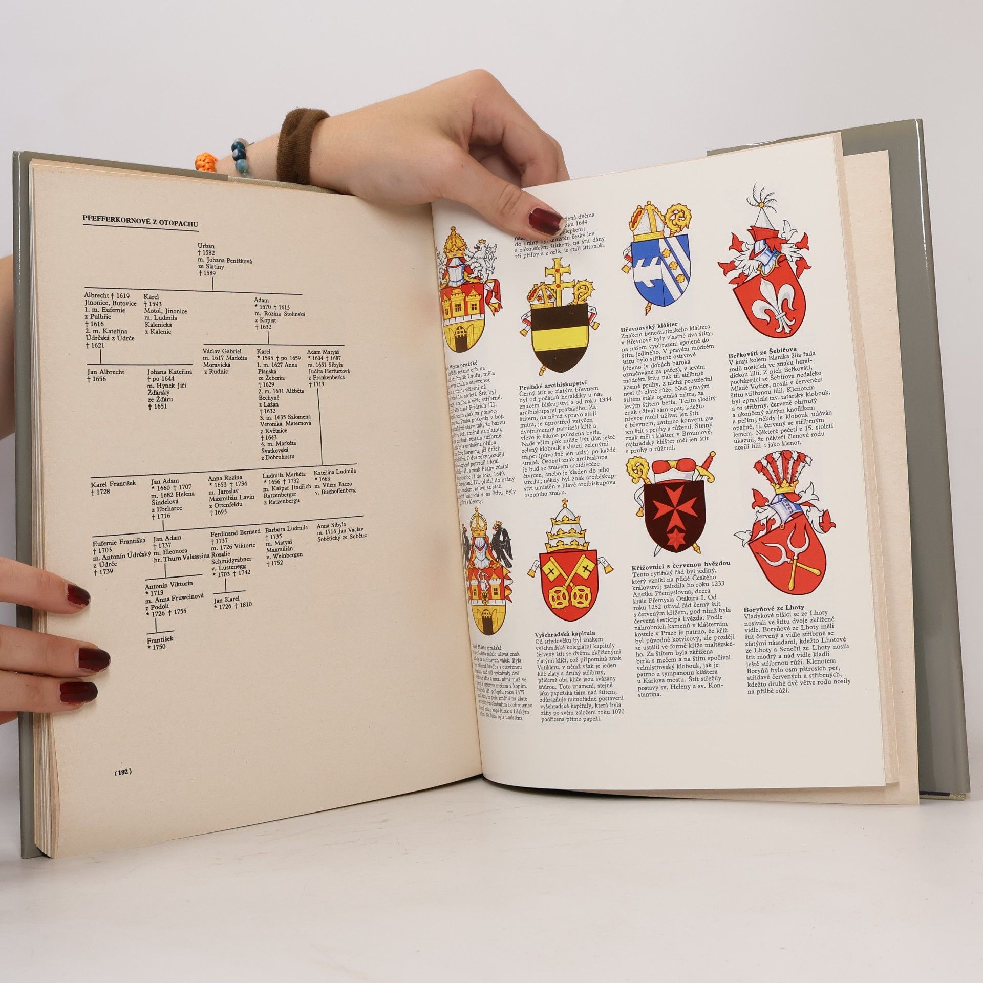 Autorenkollektiv Hrady, zámky a tvrze v Čechách, na Moravě a ve Slezsku VII. Praha a okolí