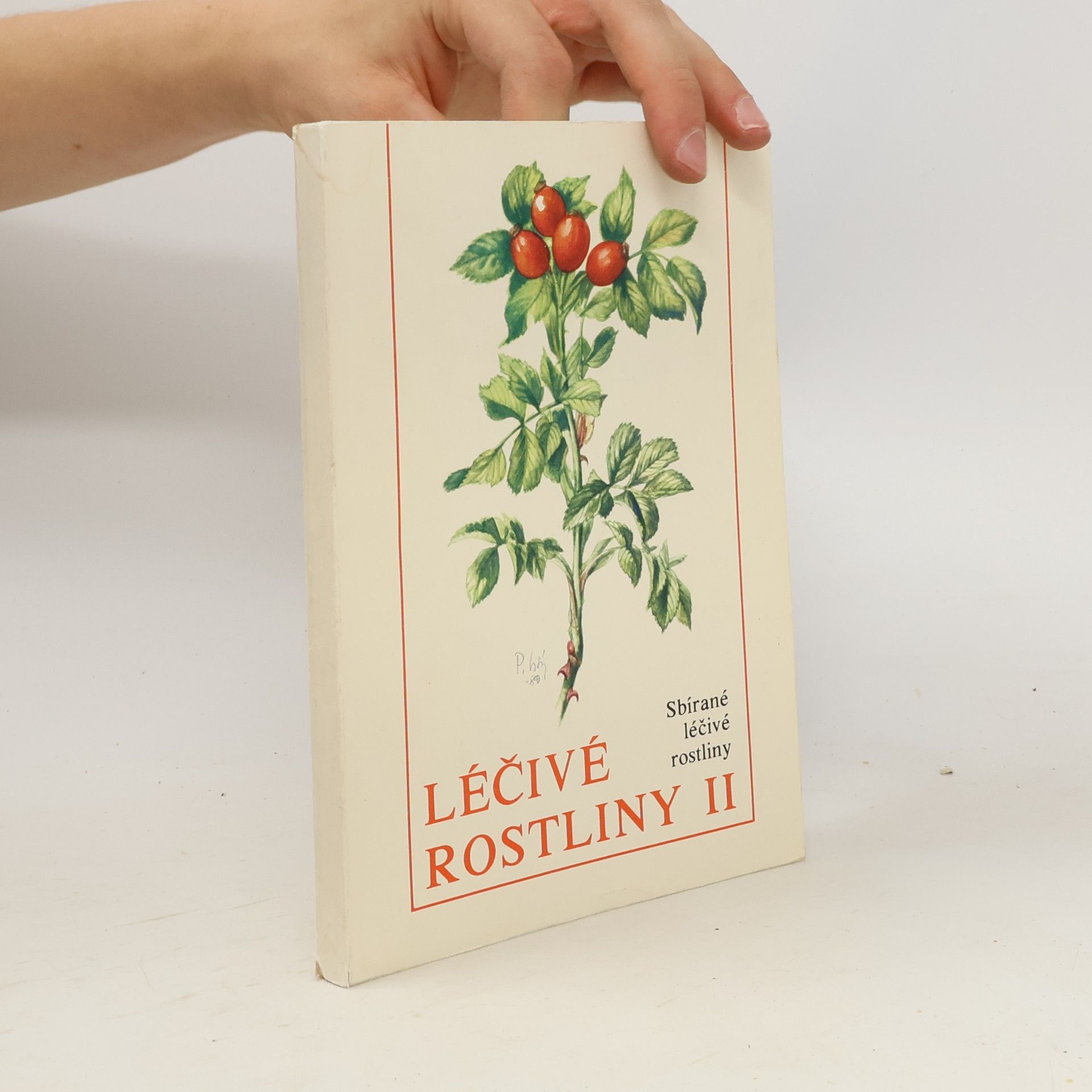 Štěpán Neubauer Léčivé rostliny II