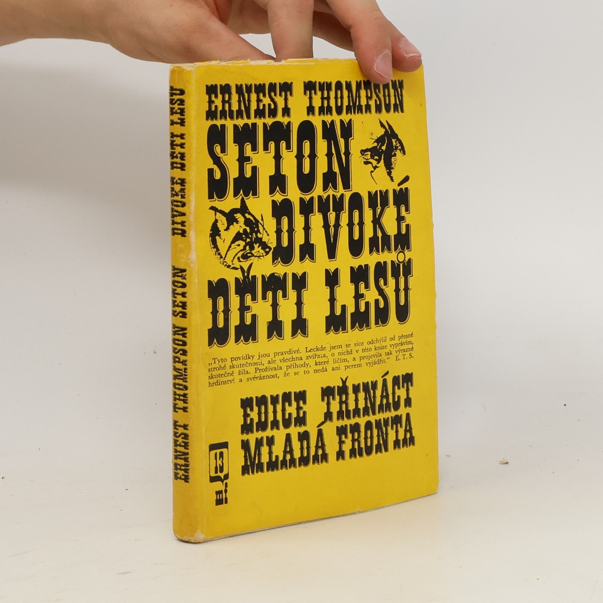 Ernest Thompson Seton Divoké děti lesů