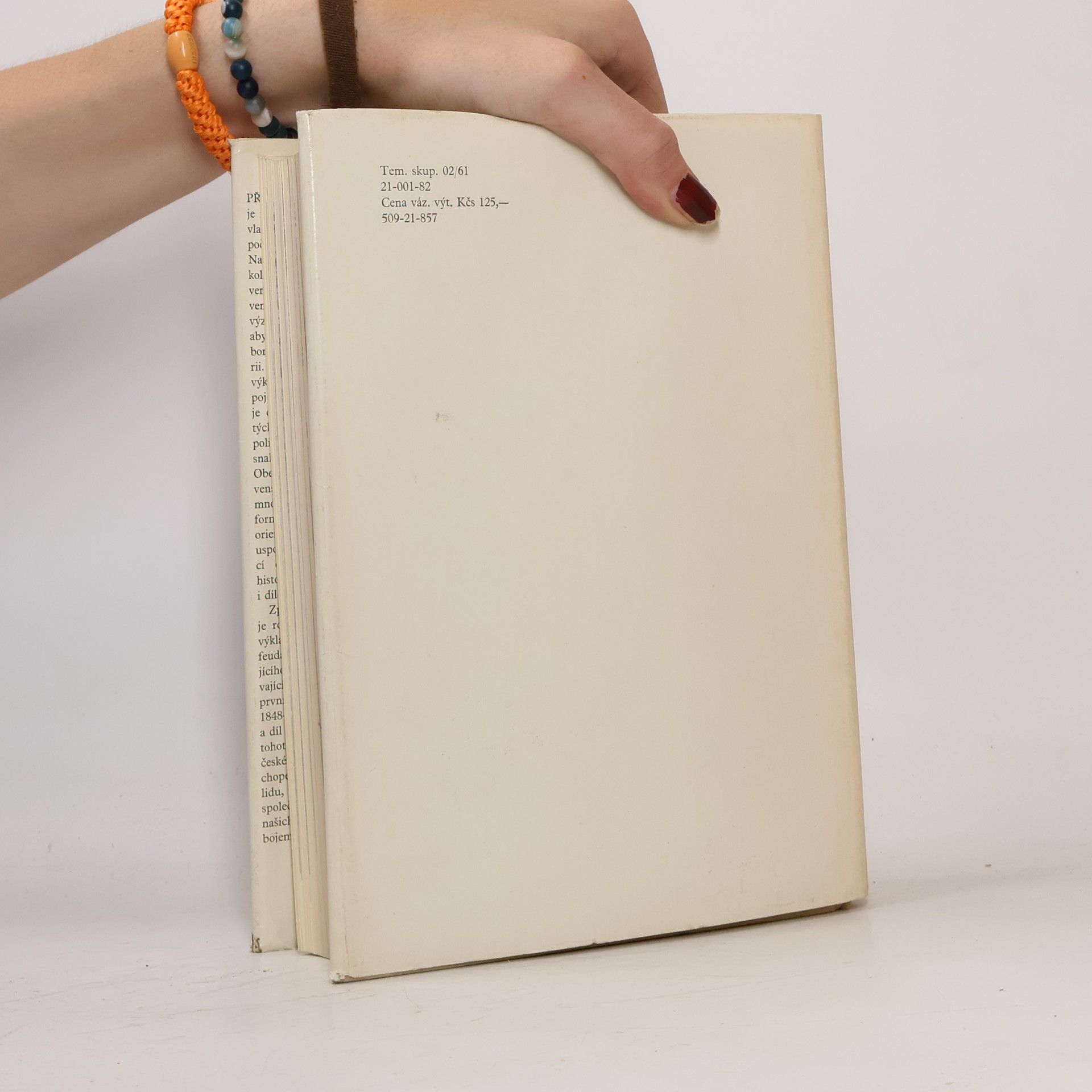 Autorenkollektiv Přehled dějin Československa I/2 [1526 až 1848]