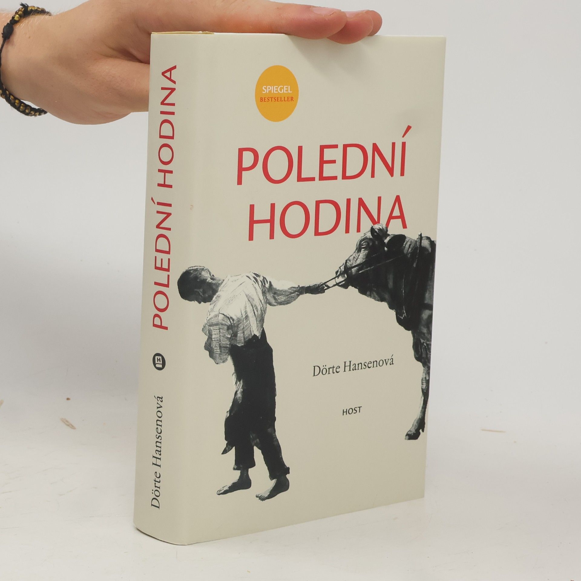 Dörte Hansen Polední hodina