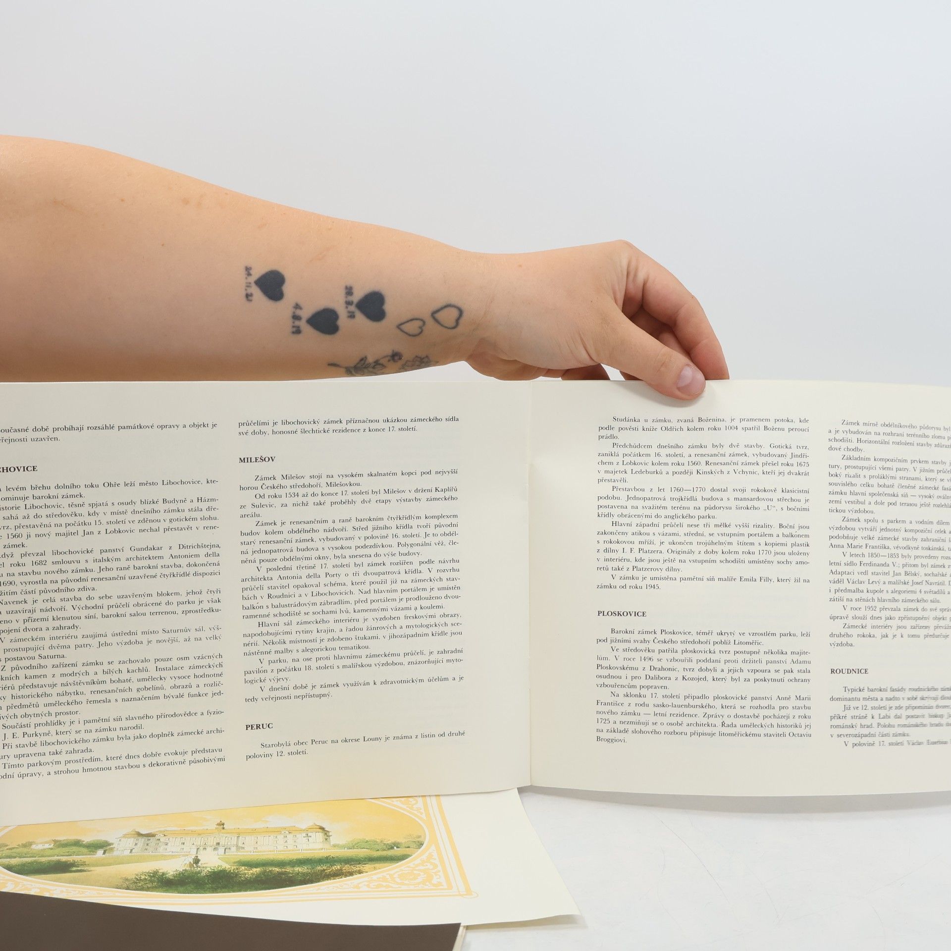 Václav Váňa Dobové litografie severočeských zámků