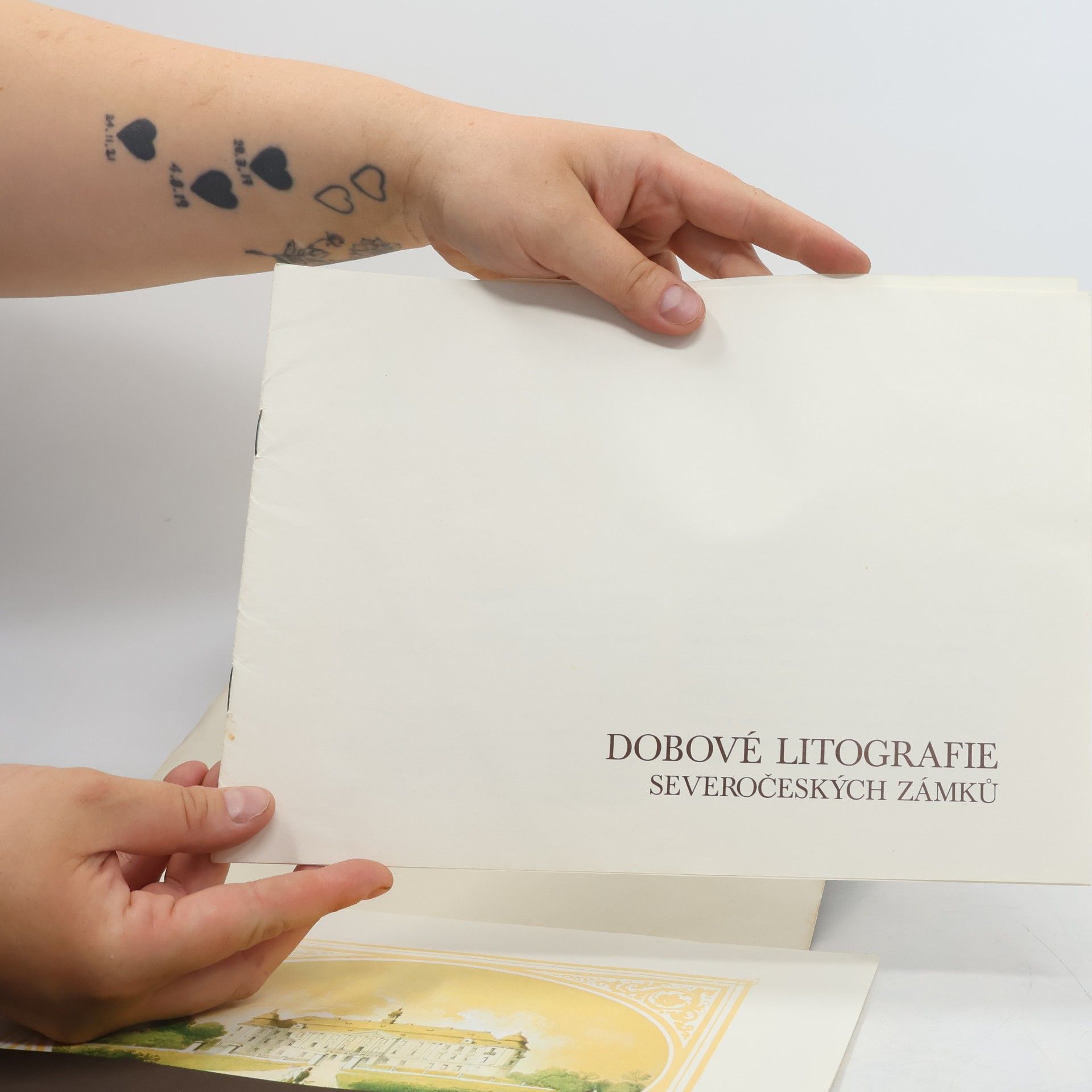 Václav Váňa Dobové litografie severočeských zámků