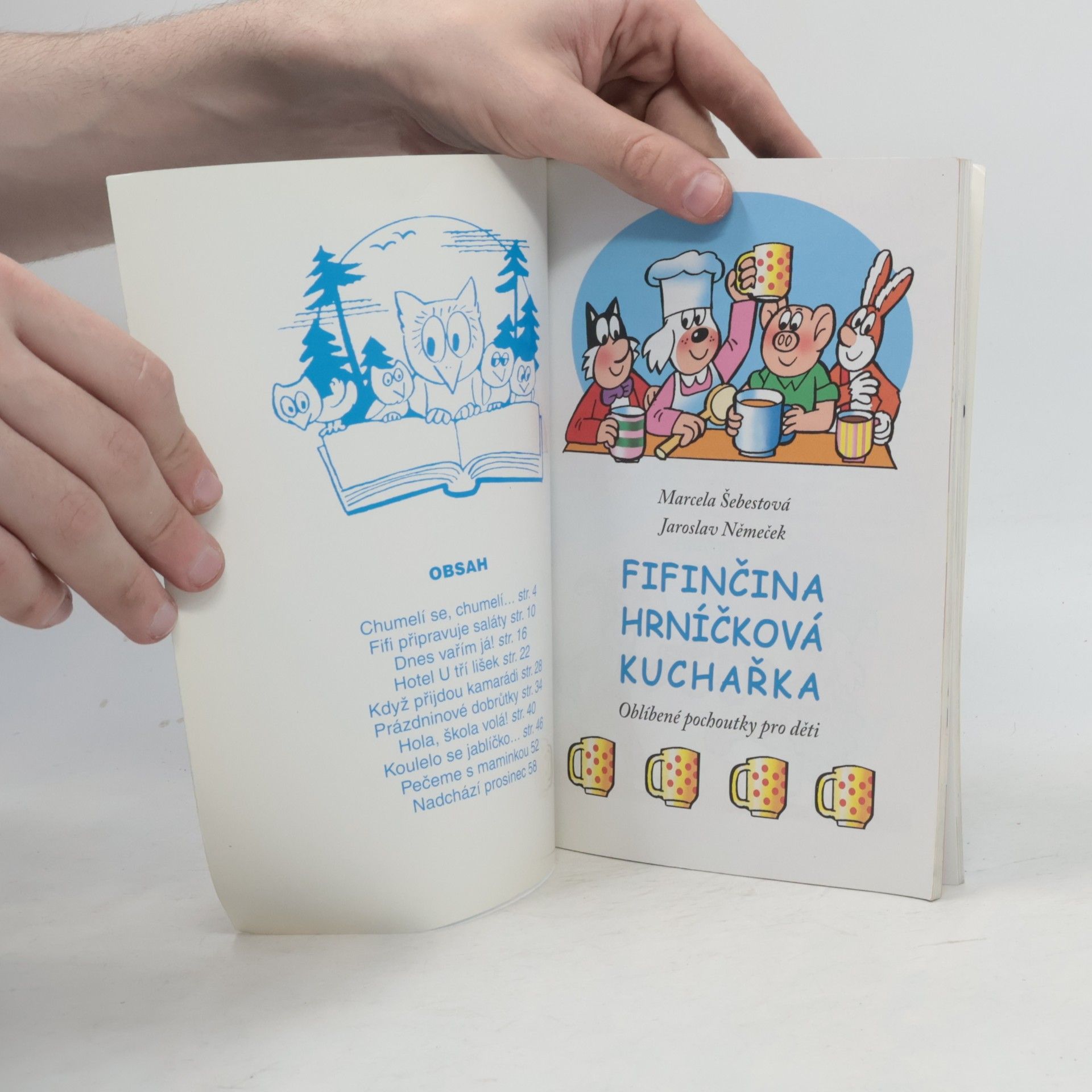Jaroslav Němeček Fifinčina hrníčková kuchařka