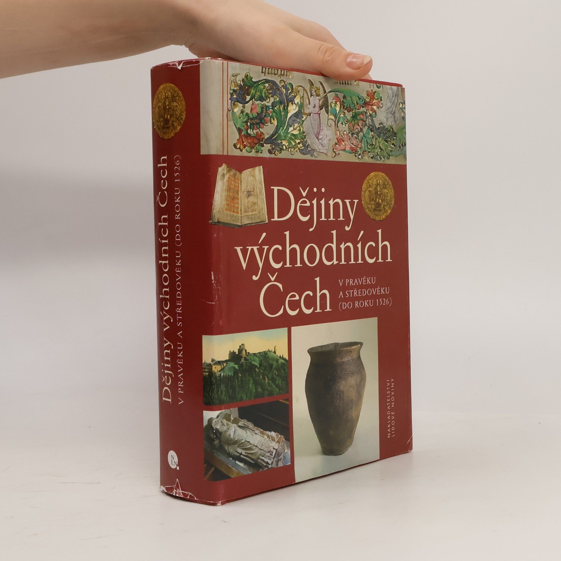 Autores varios Dějiny východních Čech: V pravěku a středověku (do roku 1526)