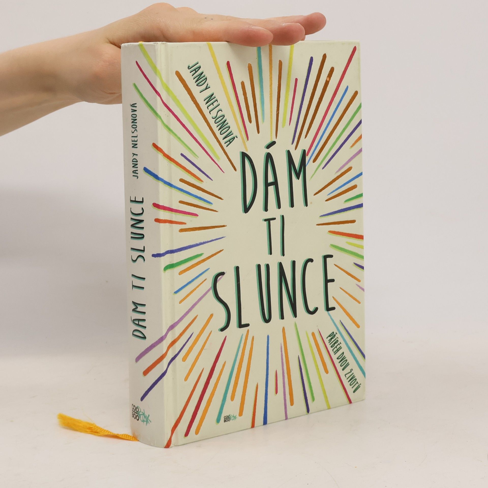 Jandy Nelson Dám ti slunce