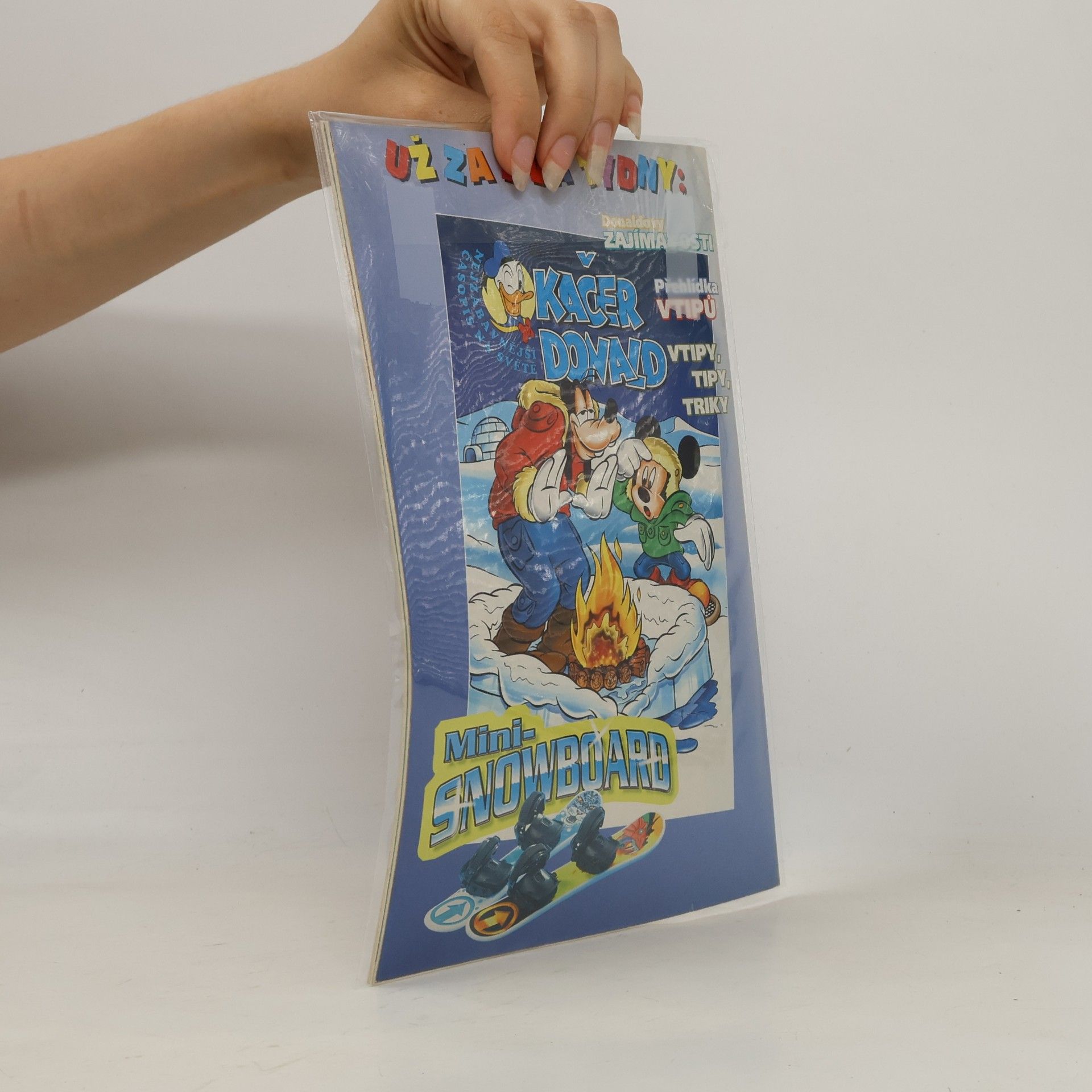 Kolektiv autorů Kačer Donald 2/2003