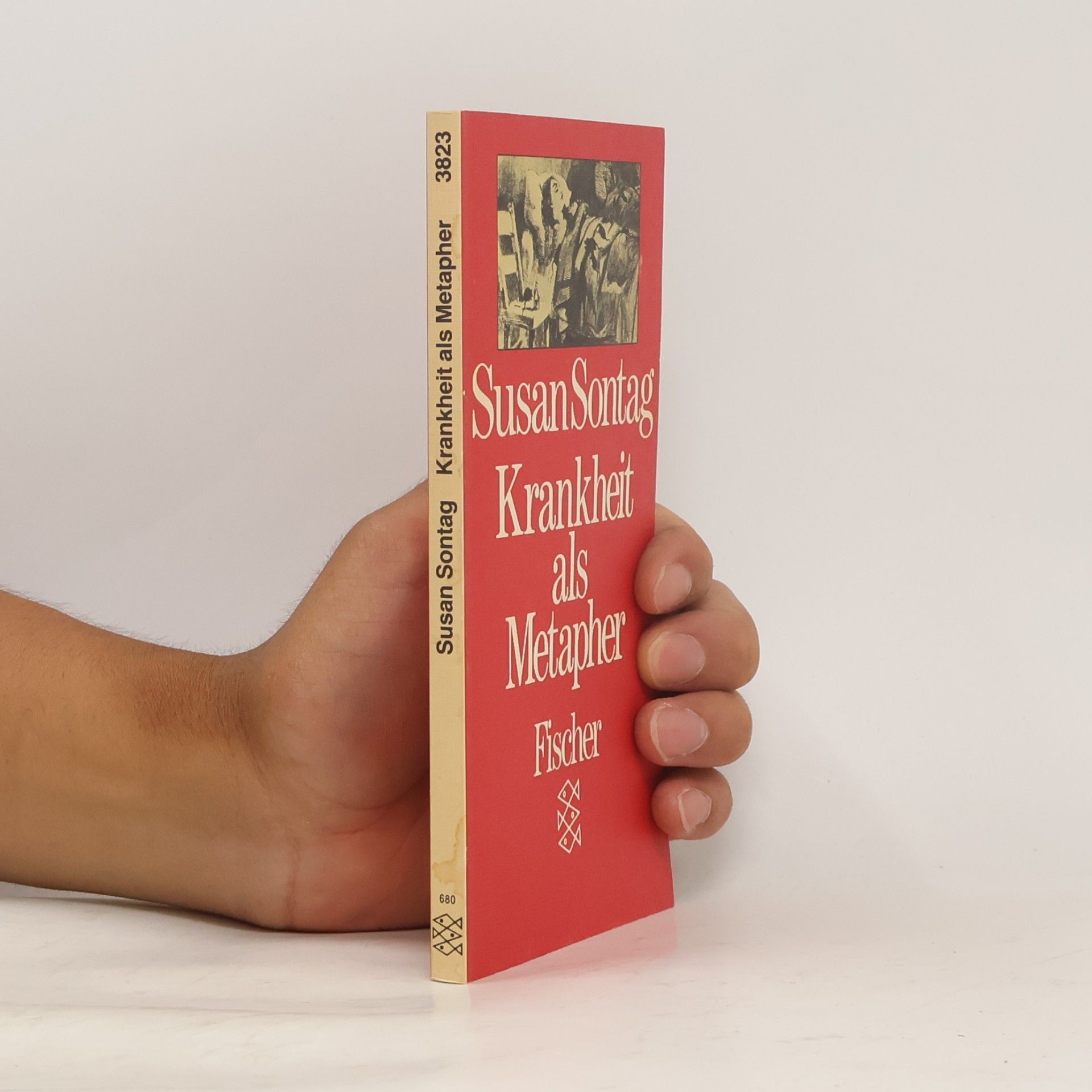 Susan Sontag Krankheit als Metapher