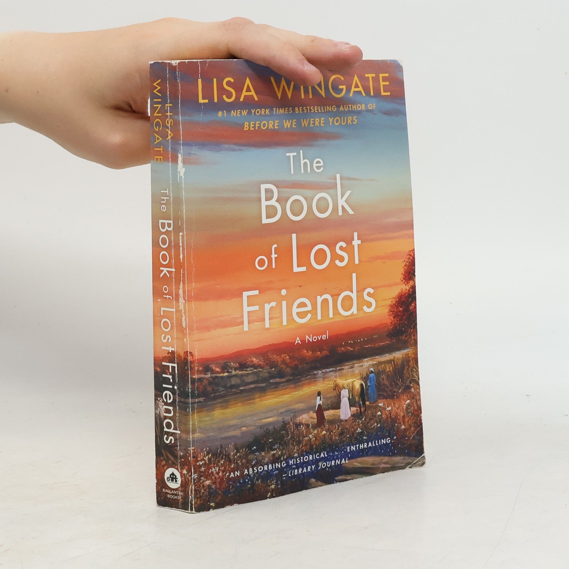 Lisa Wingate The Book of Lost Friends