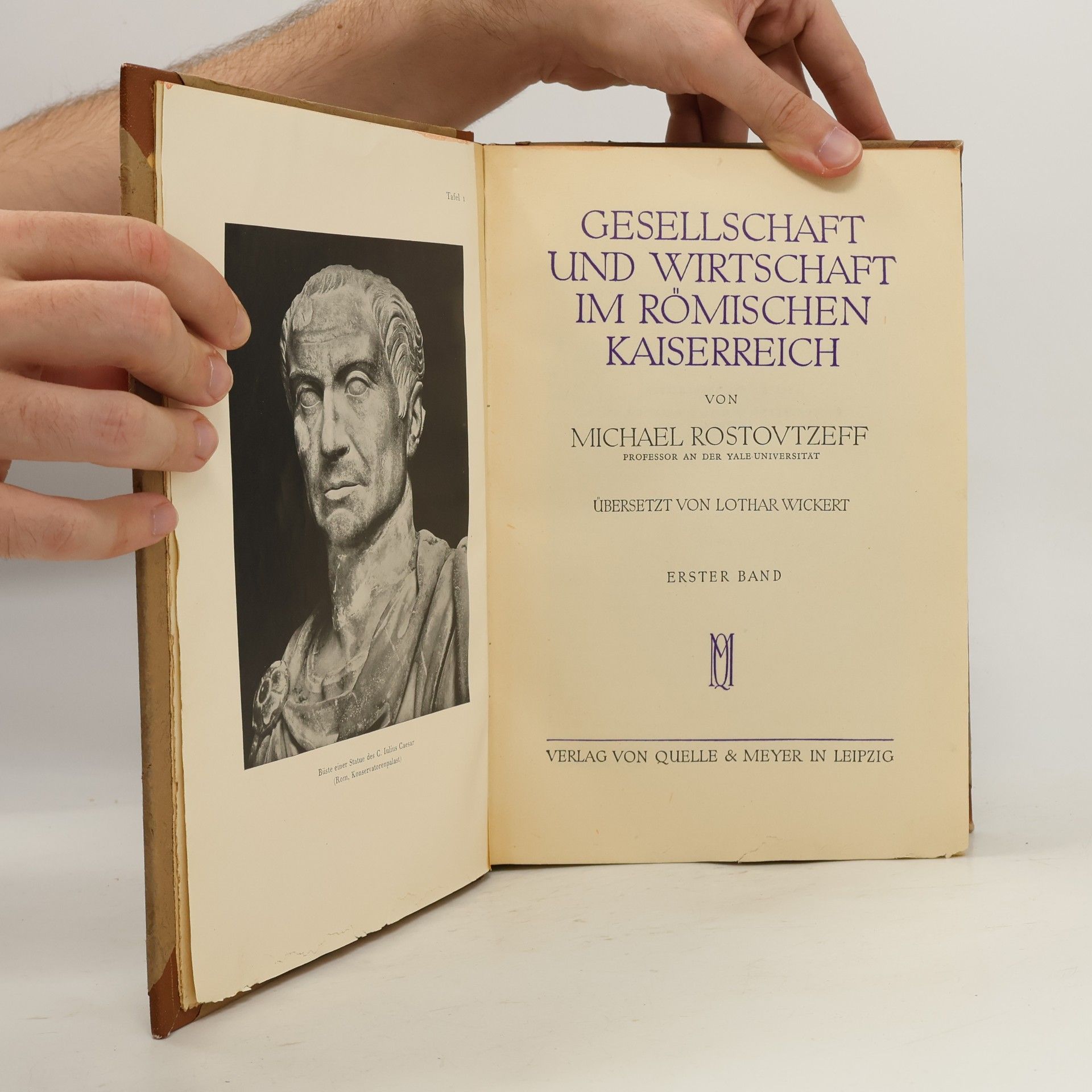 Michael Rostovtzeff Gesellschaft und Wirtschaft im römischen Kaiserreich