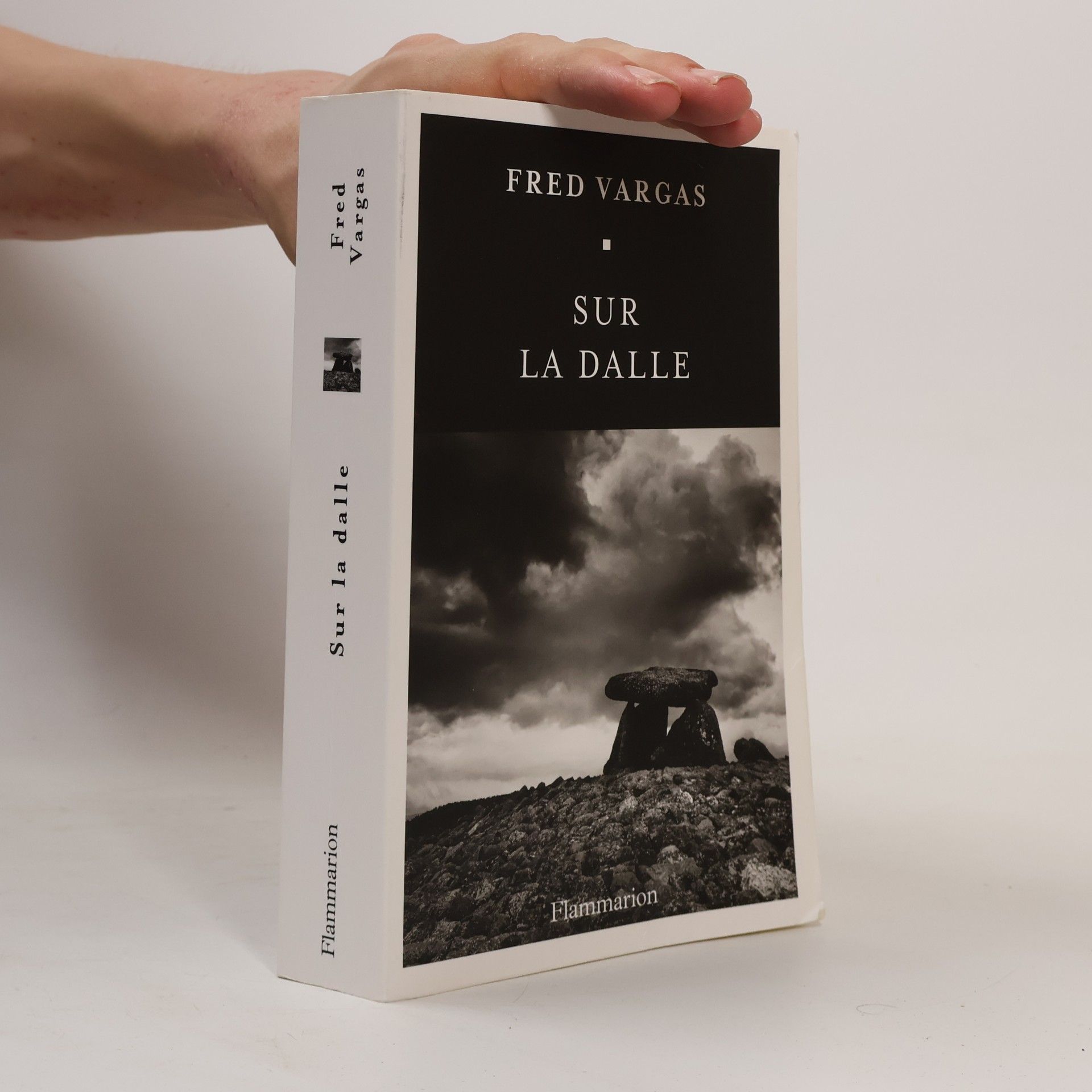 Fred Vargas Sur la dalle