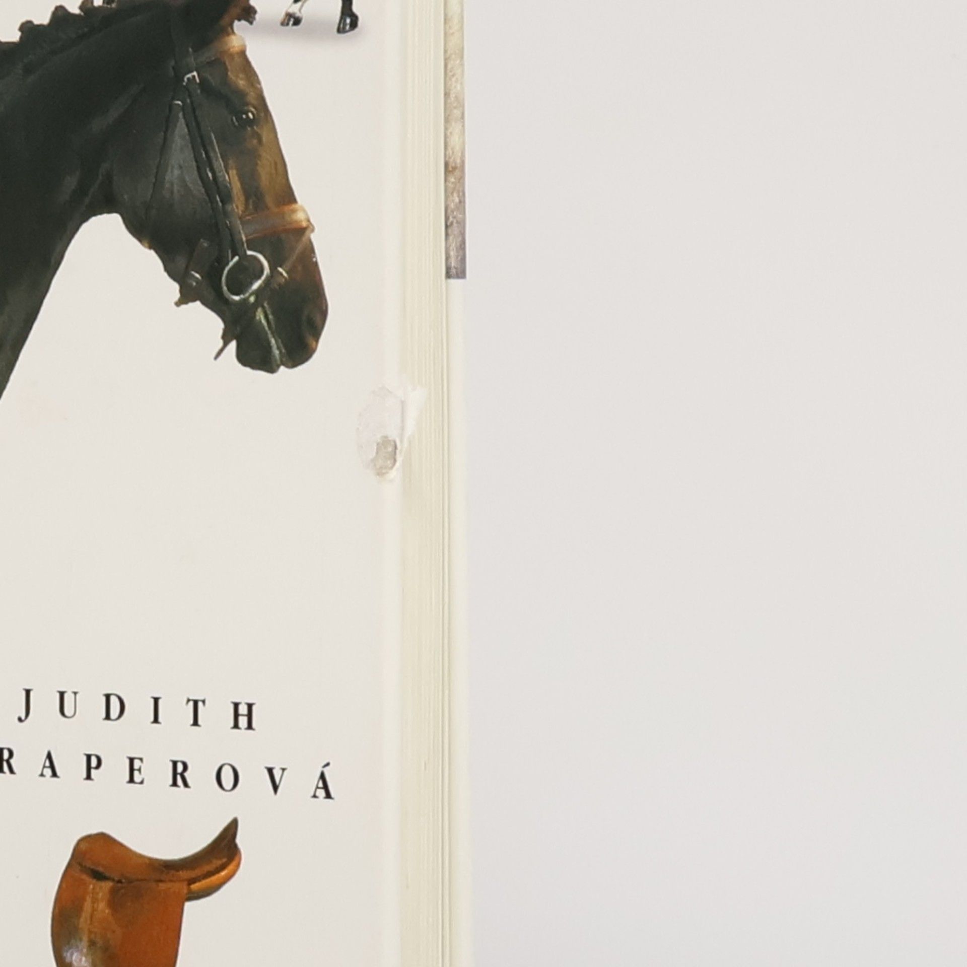 Judith Draper Kůň a péče o něj. Průvodce péčí o koně a poníky. Velká obrazová encyklopedie