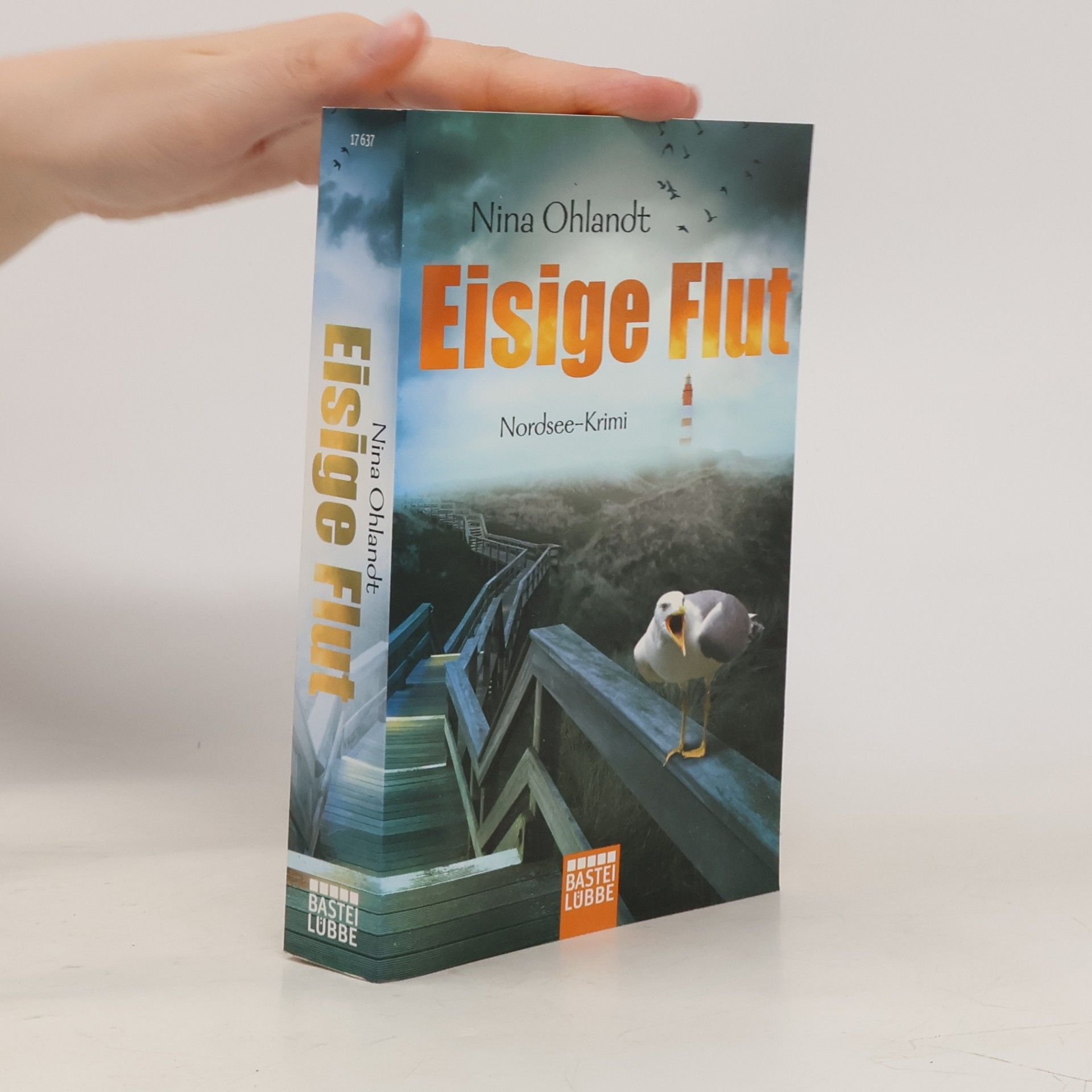 Nina Ohlandt Eisige Flut