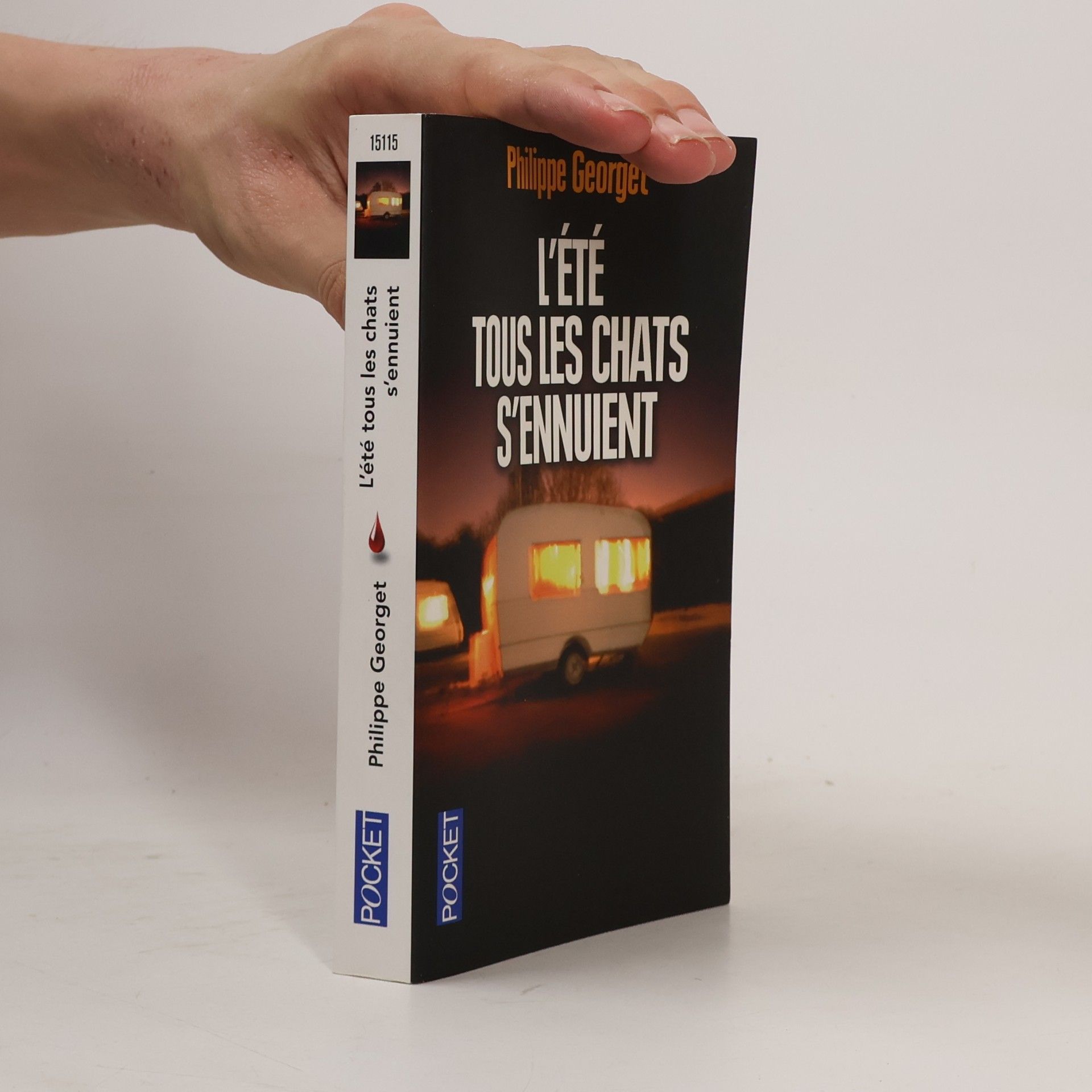 Philippe Georget L'été tous les chats s'ennuient