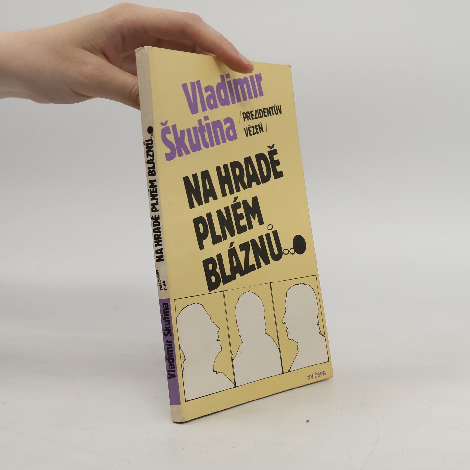 Vladimír Škutina Na hradě plném bláznů
