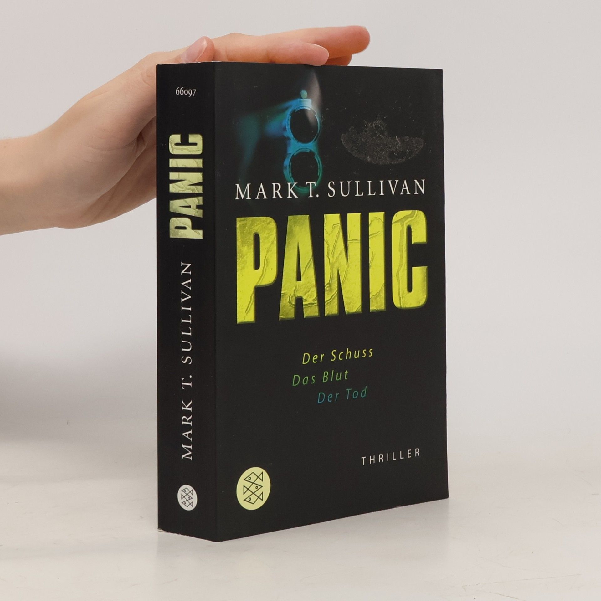 Mark T. Sullivan Panic