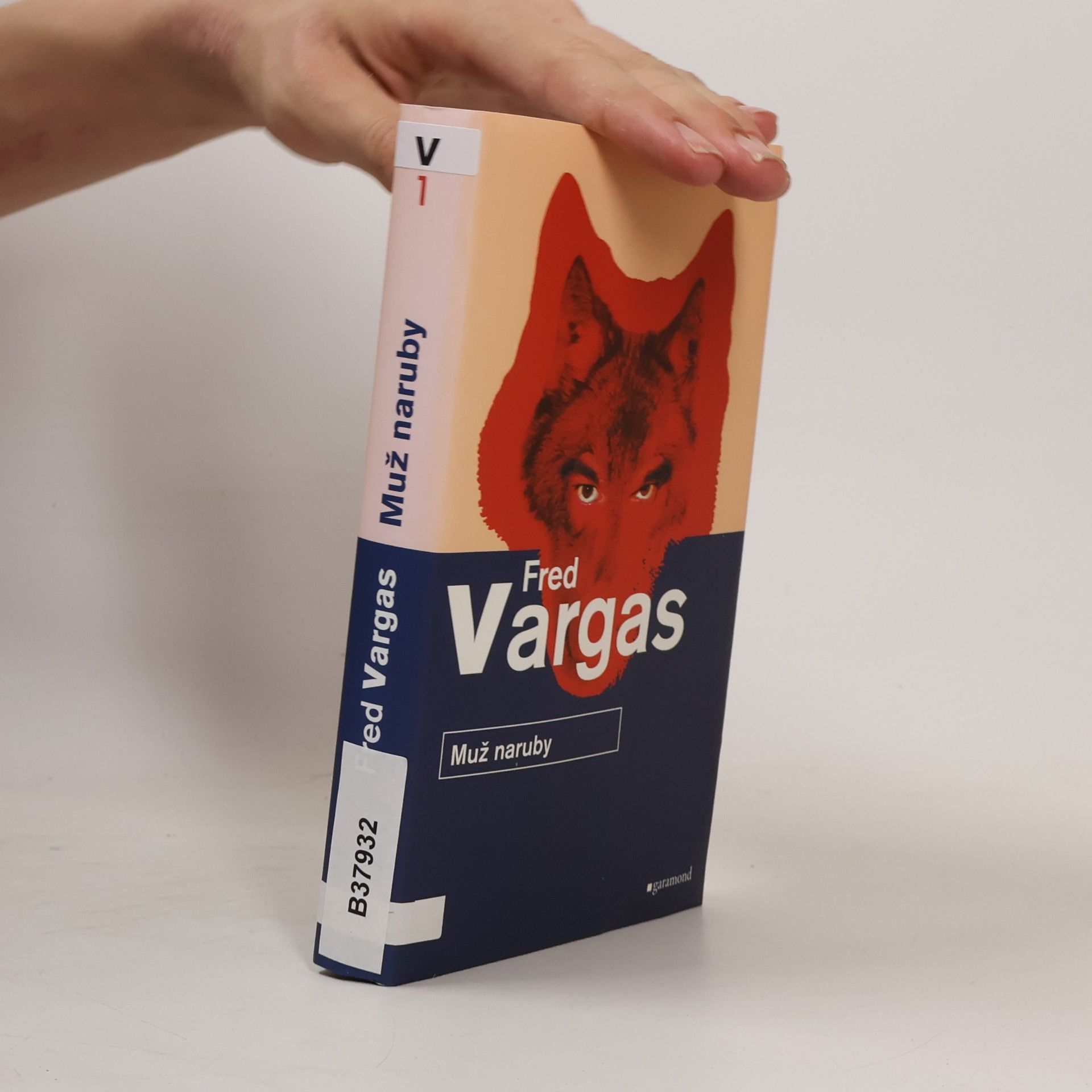 Fred Vargas Muž naruby