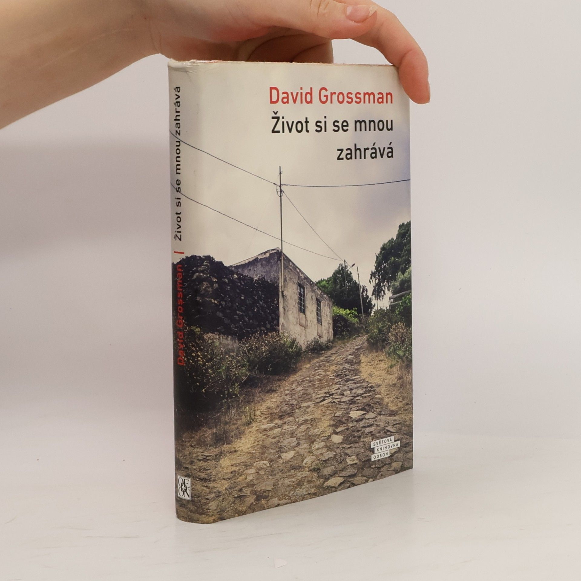 David Grossman Život si se mnou zahrává