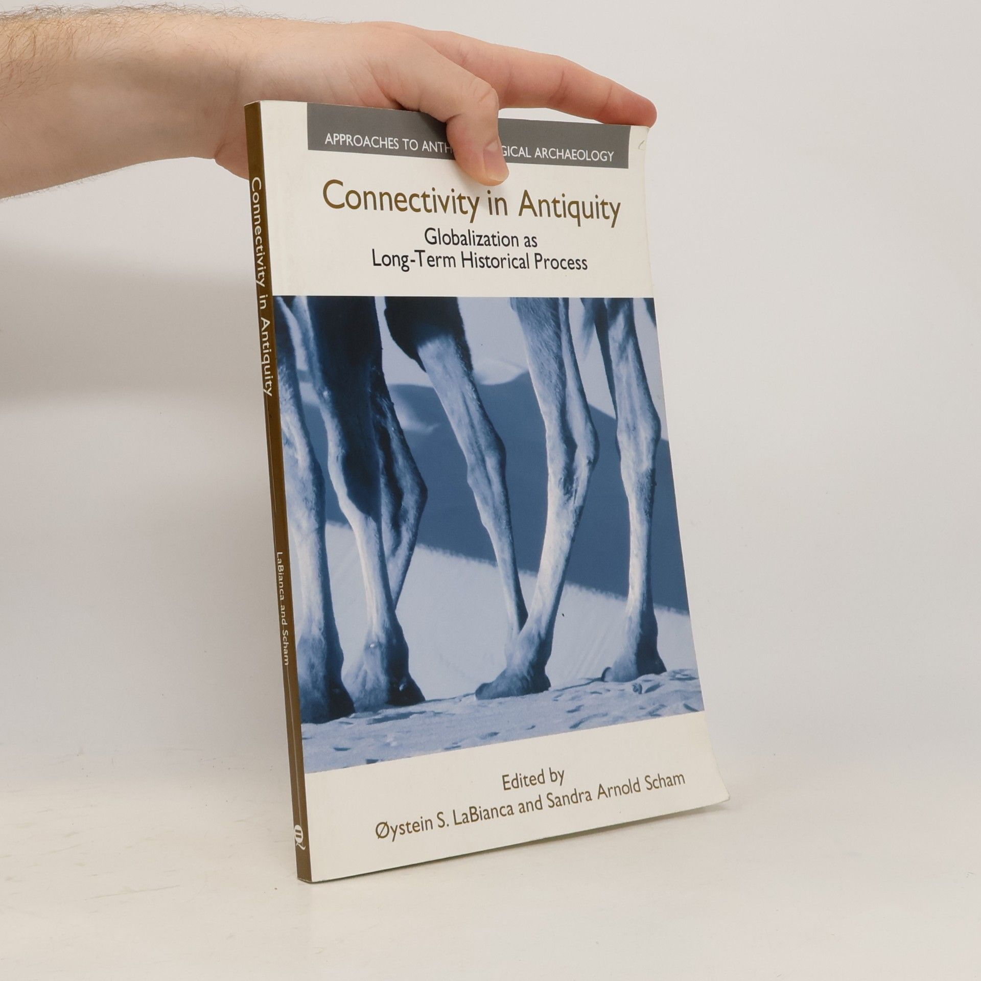 Sandra Arnold Scham Approaches to Anthropological Archaeology: Connectivity in Antiquity