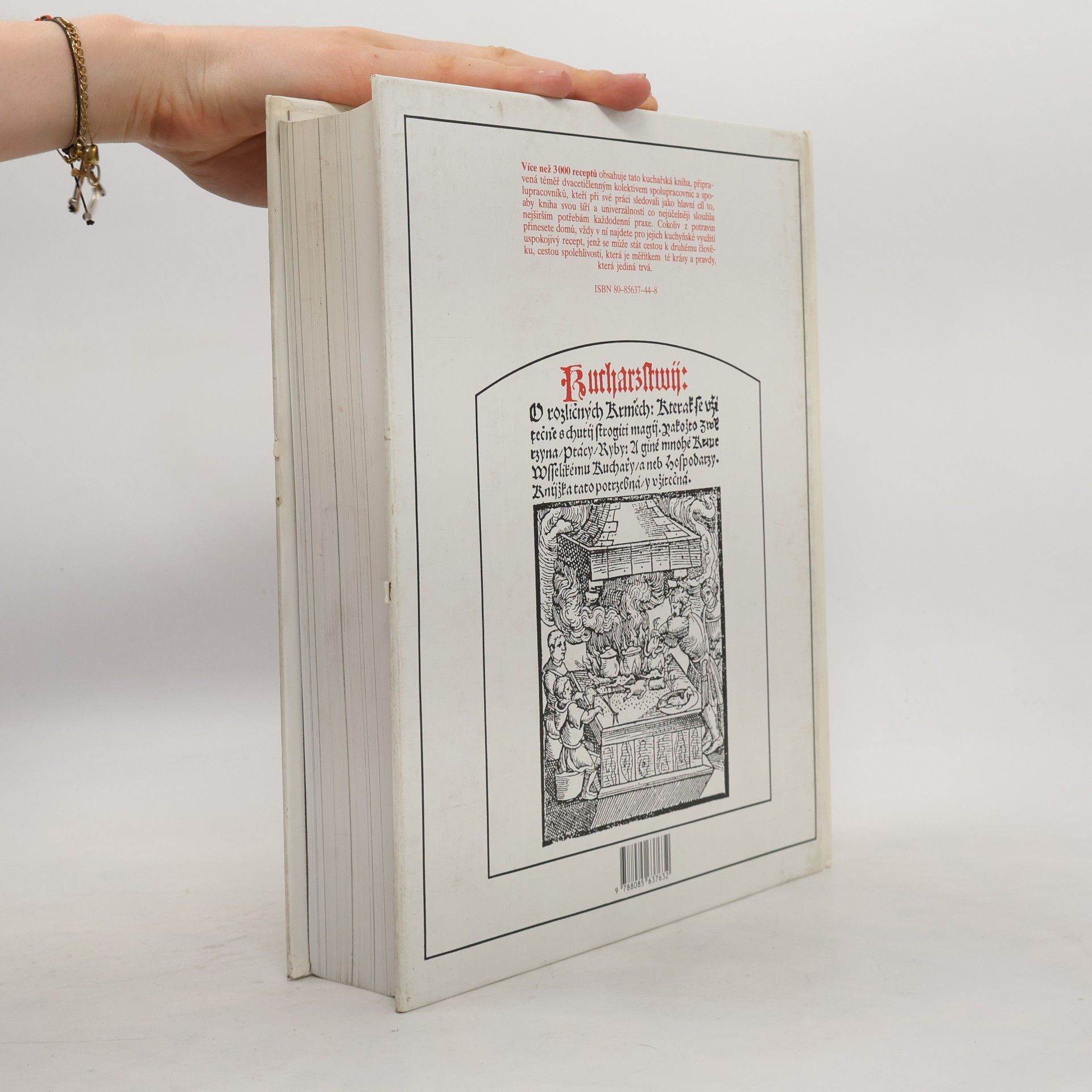 Collectif d'auteurs Velká česká kuchařka