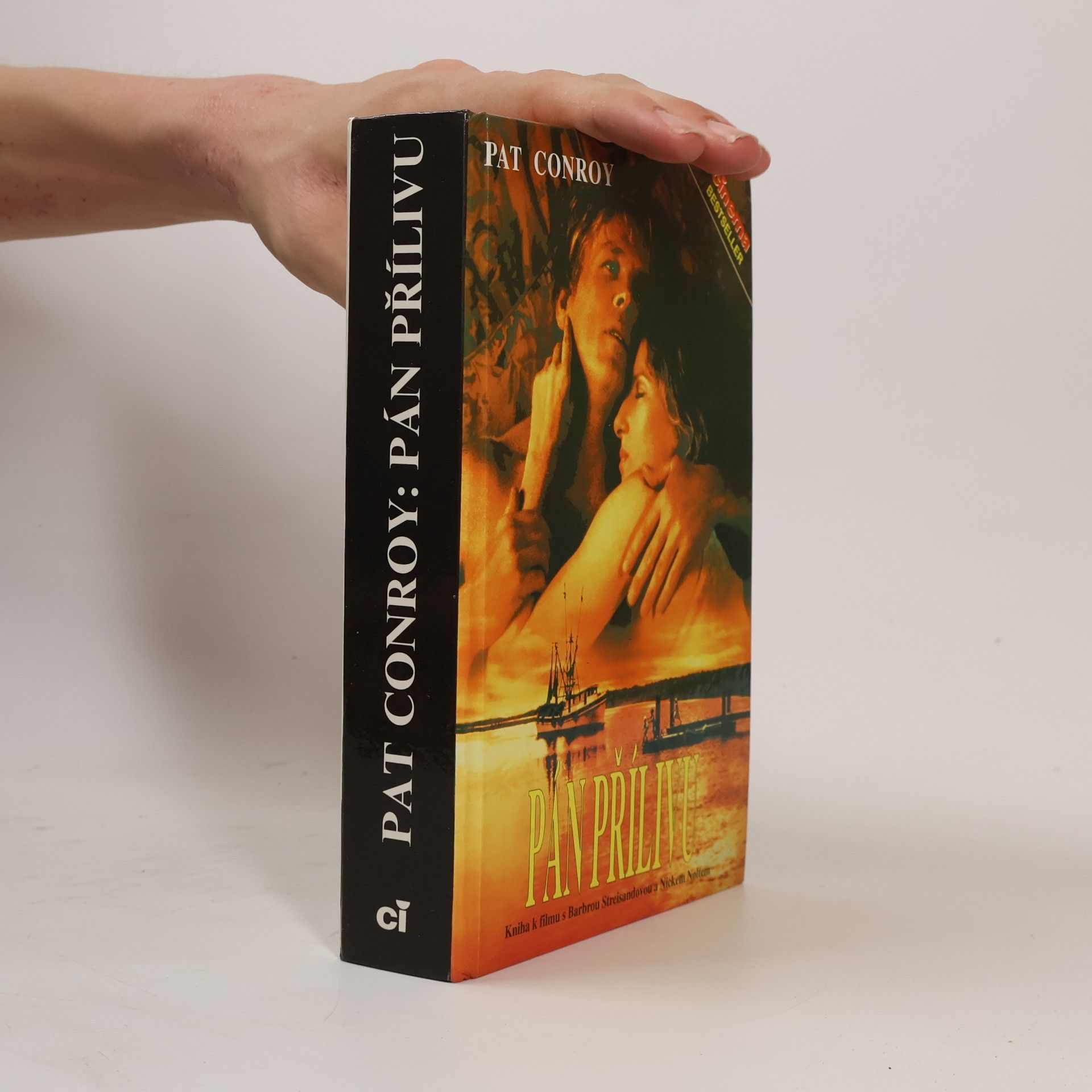 Pat Conroy Pán přílivu