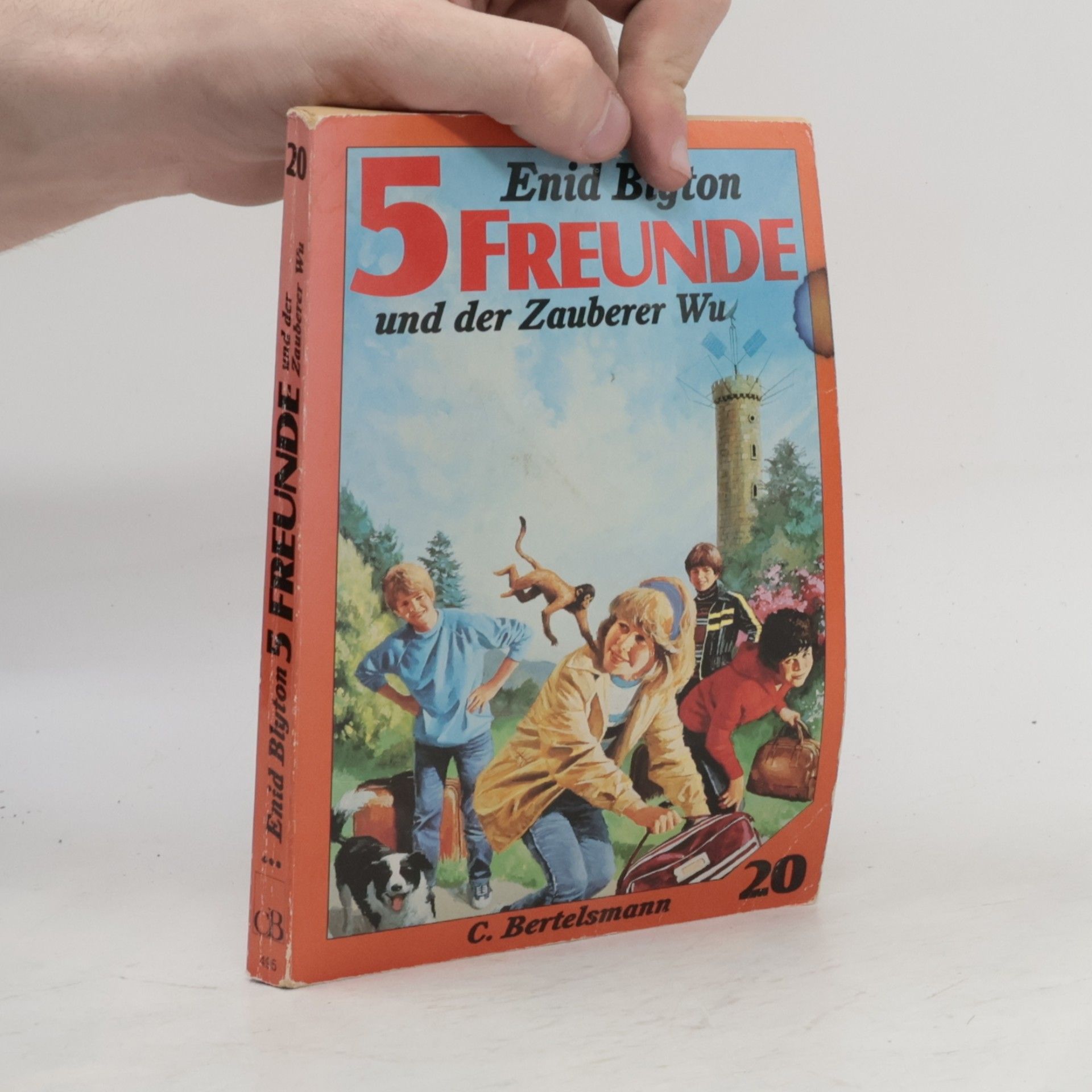 Enid Blyton Fünf Freunde und der Zauberer Wu