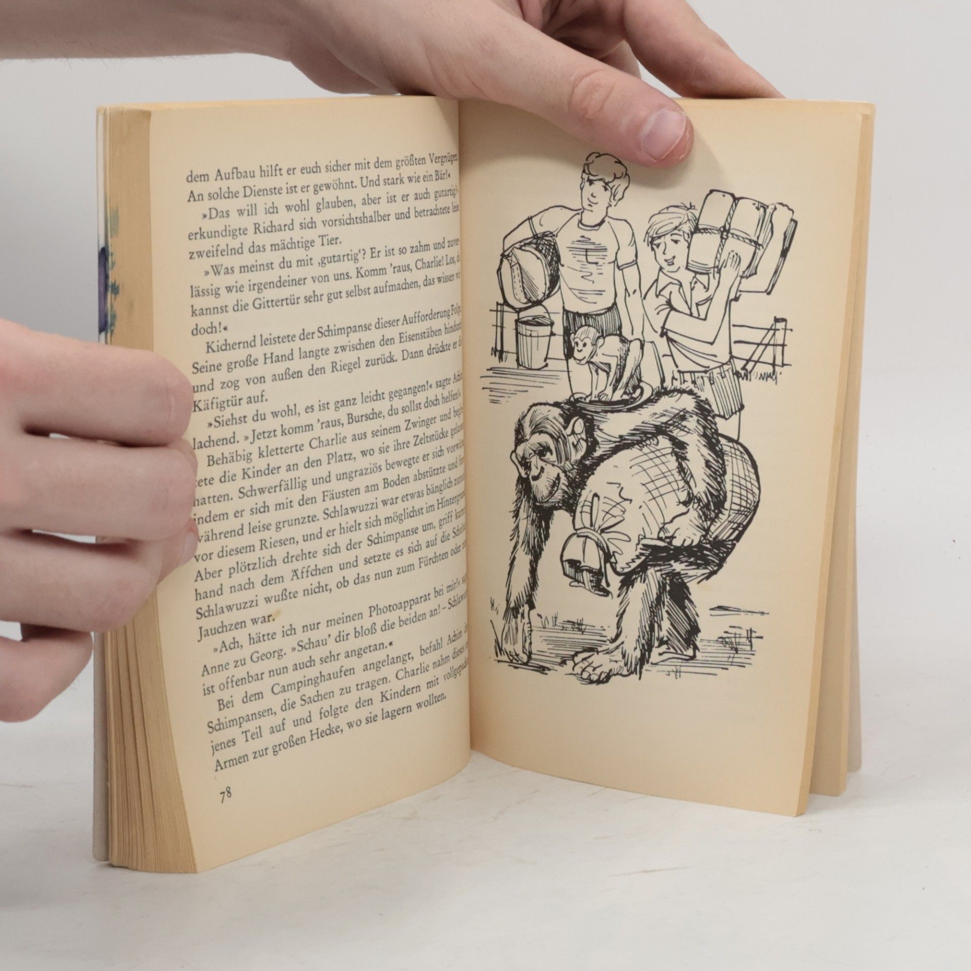 Enid Blyton Fünf Freunde und der Zauberer Wu