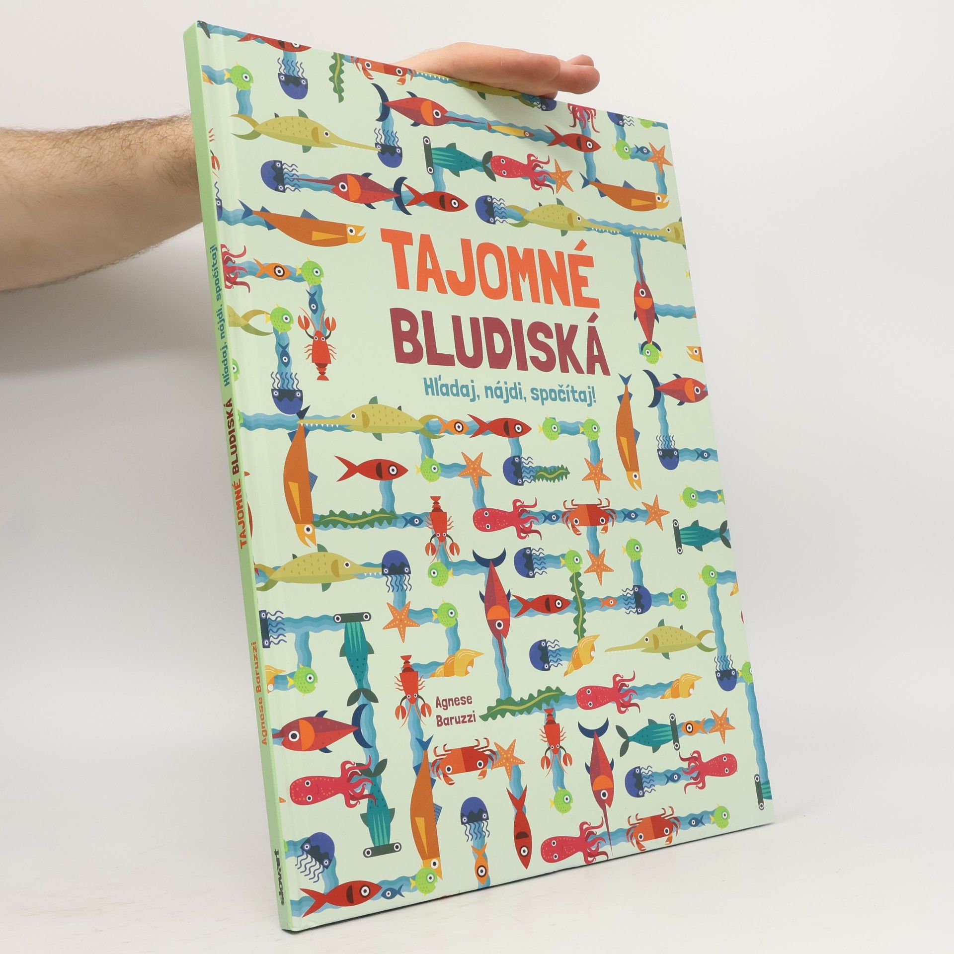 Agnese Baruzzi Tajomné bludiská