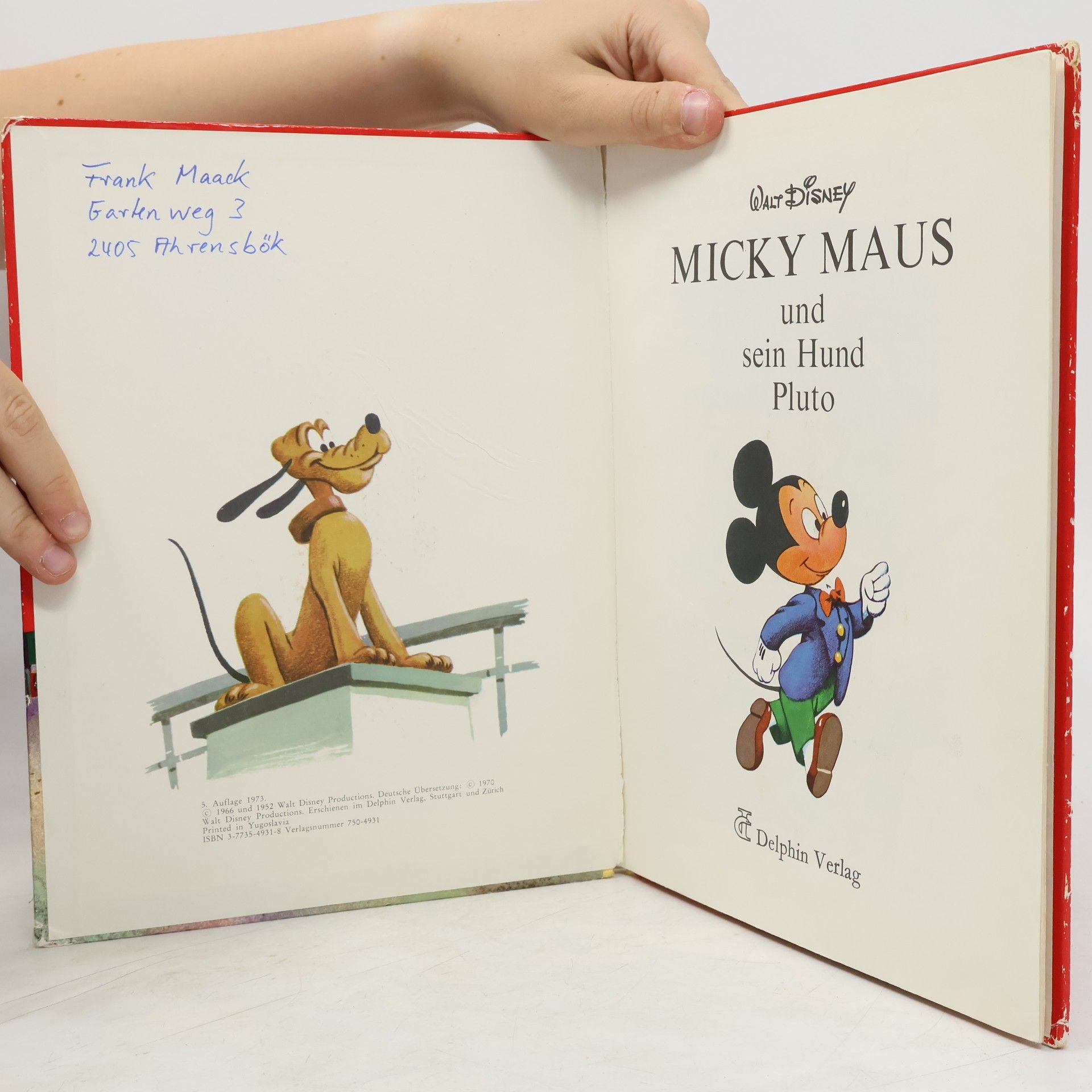 Walt Disney Micky Maus und sein Hund Pluto