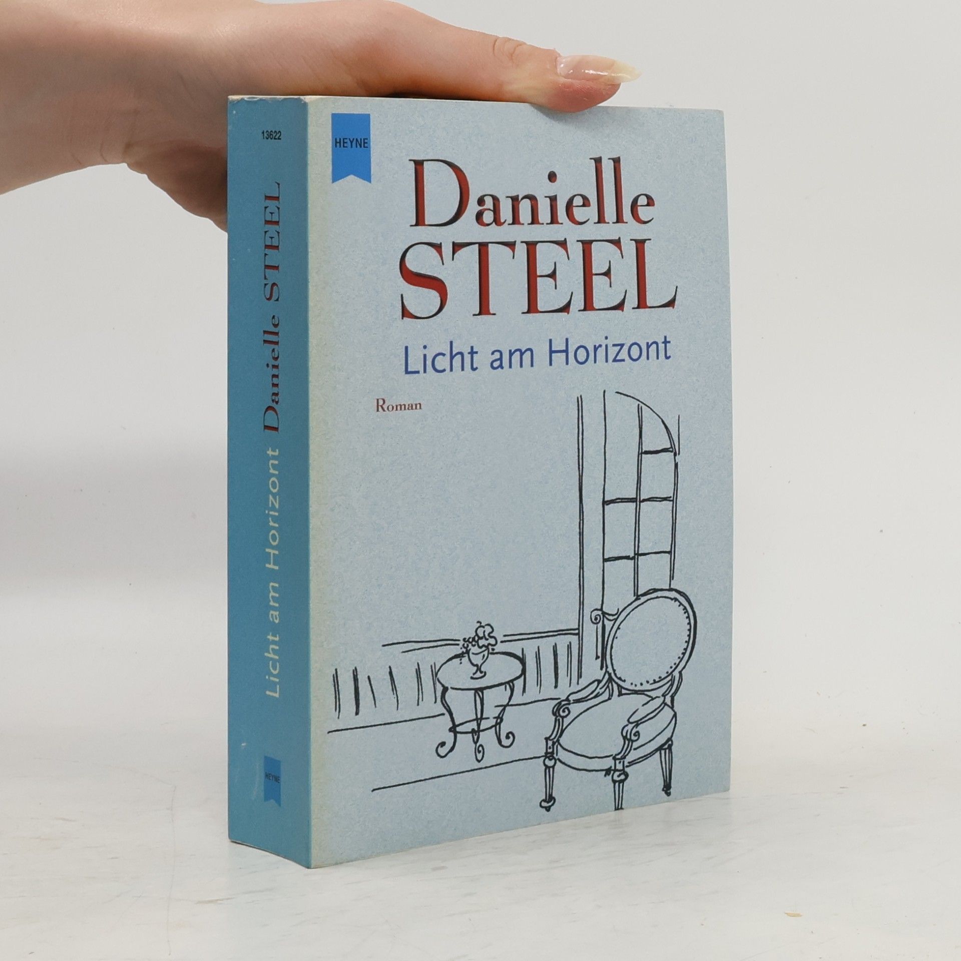 Danielle Steel Licht am Horizont