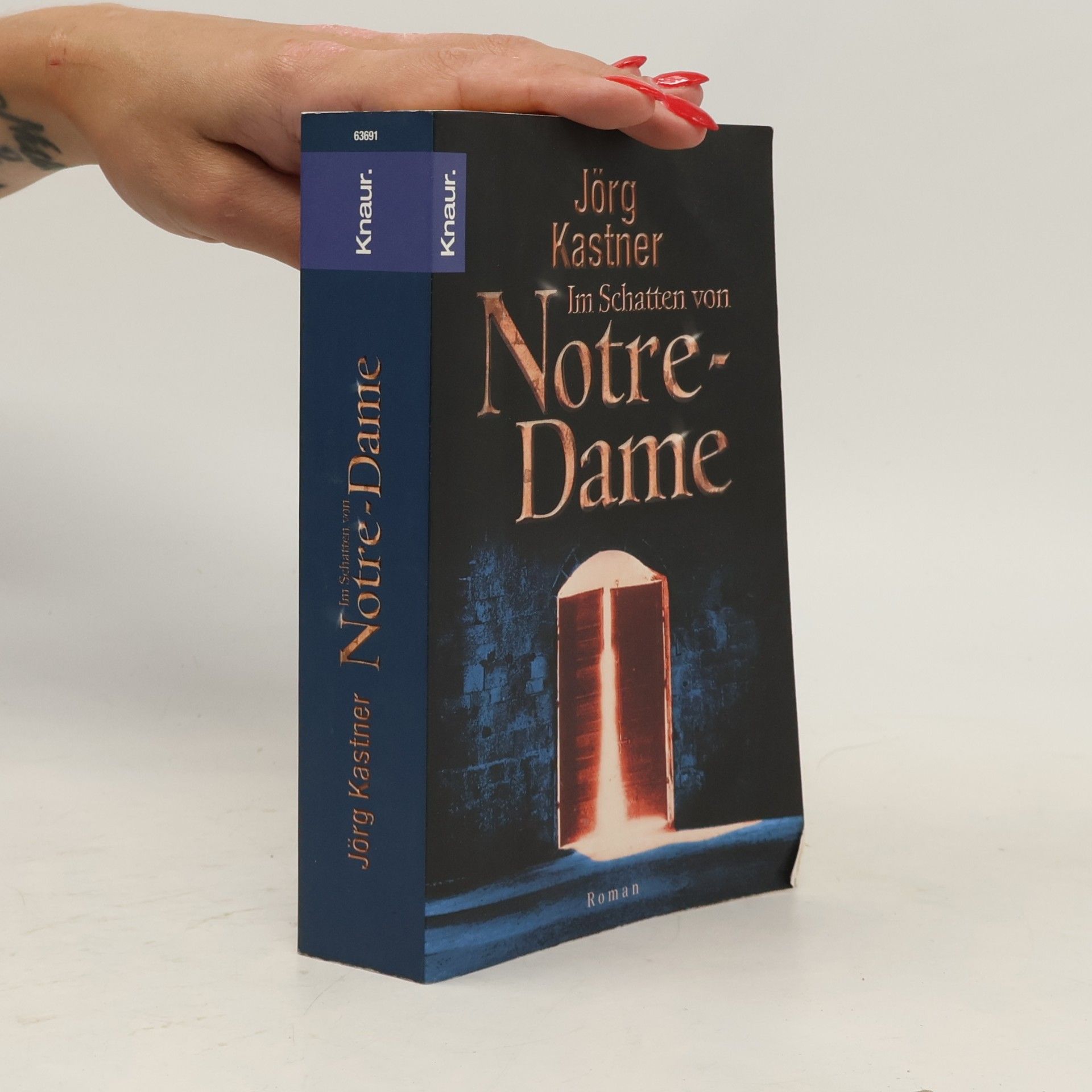 Jörg Kastner Im Schatten von Notre-Dame