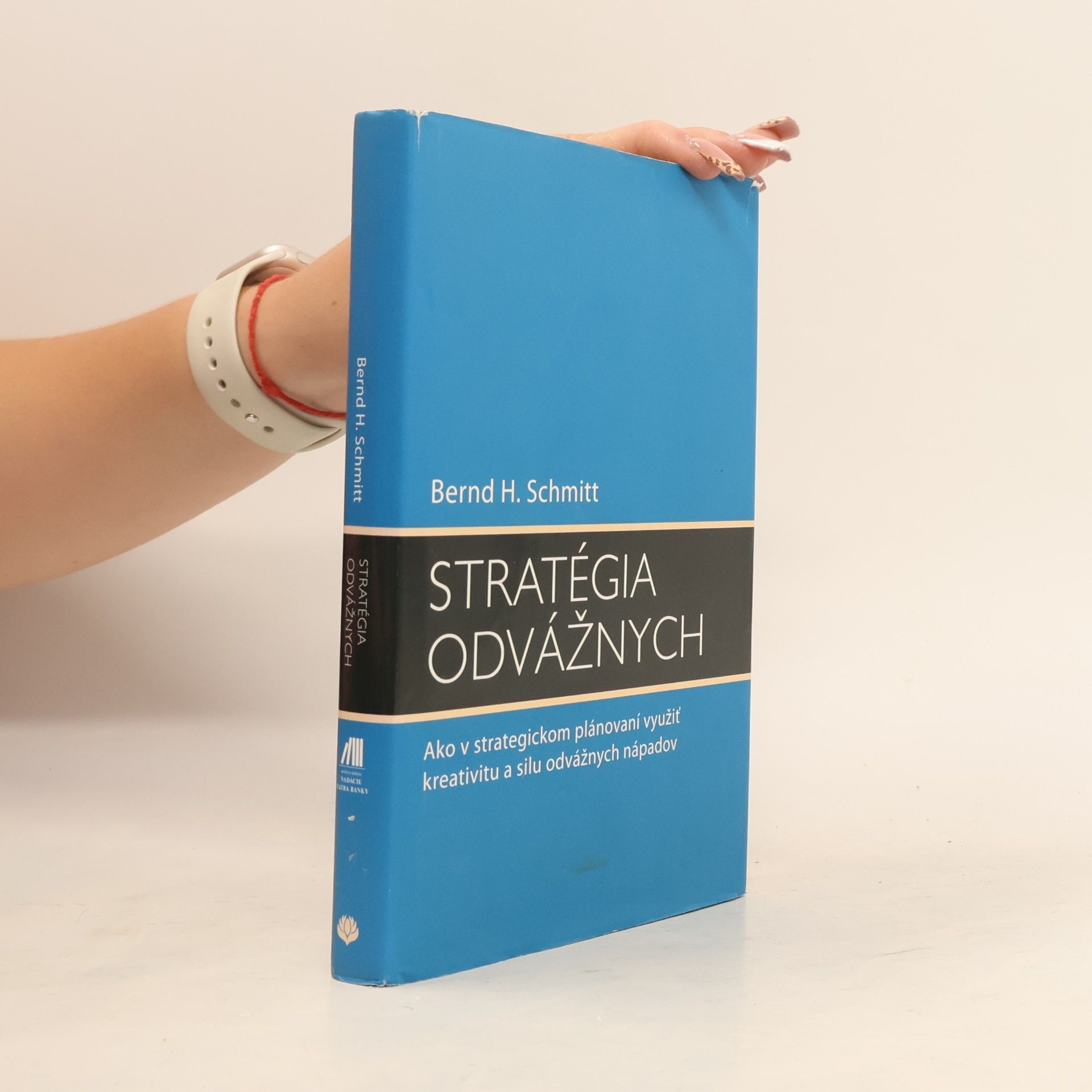 Bernd Schmitt Stratégia odvážnych