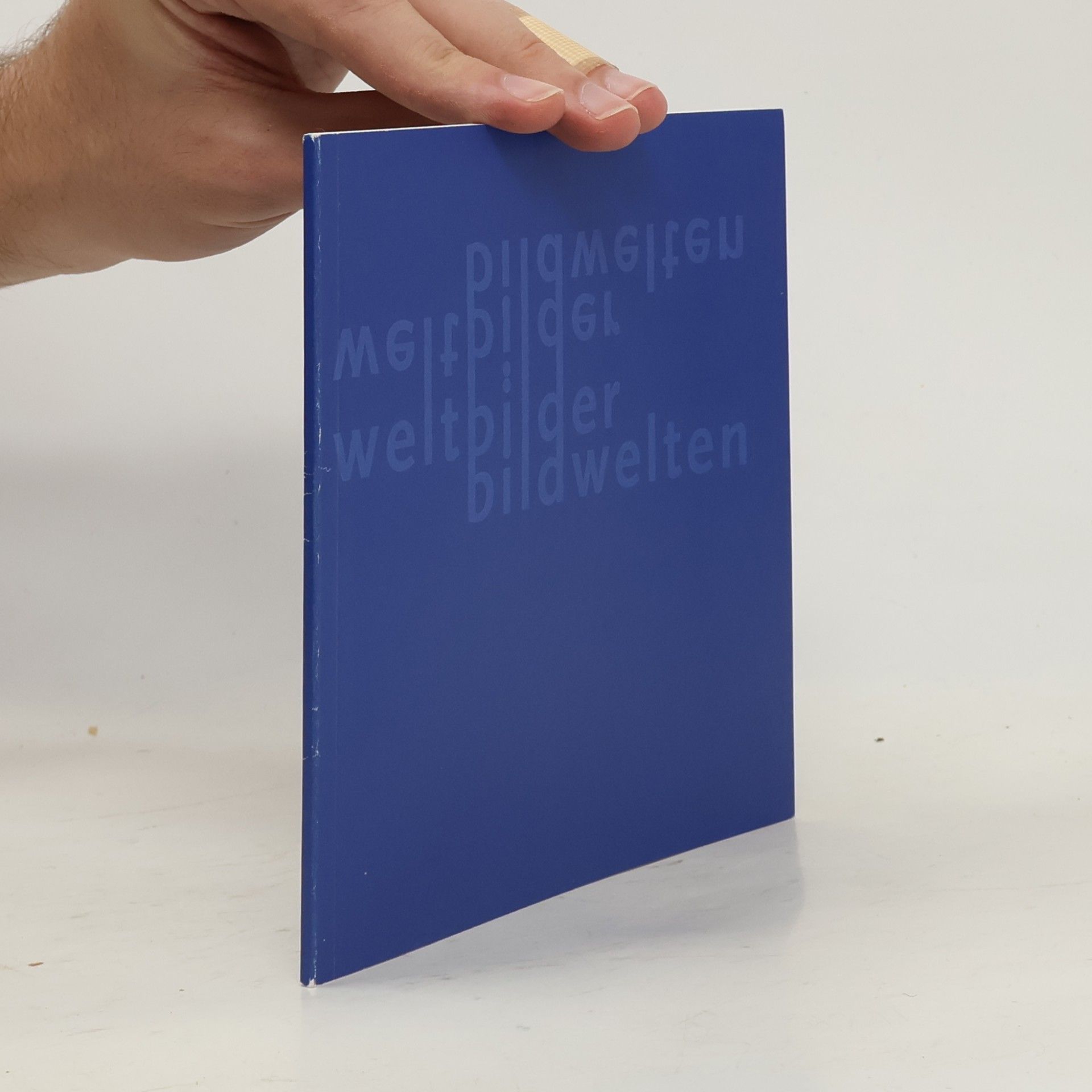 Autorenkollektiv Weltbilder bildwelten