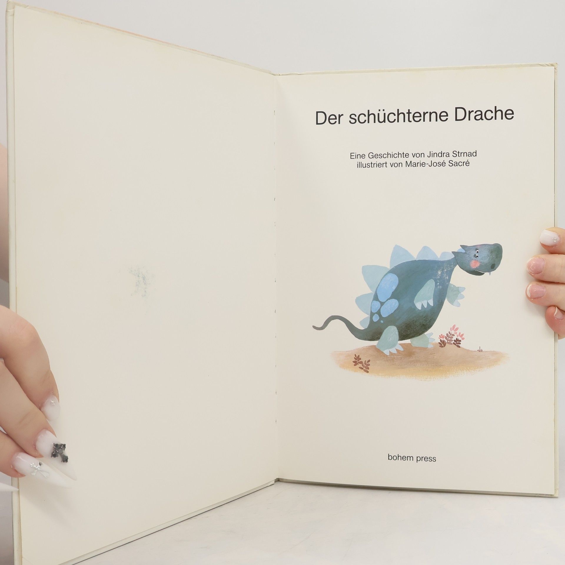 Jindra Strnad Der schüchterne Drache